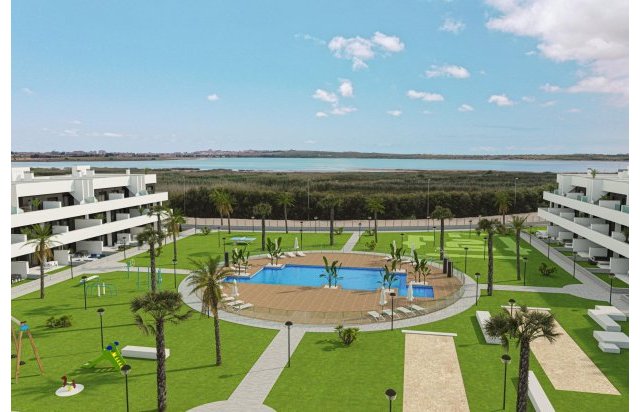 Daszek - Rynek pierwotny - Guardamar del Segura - El Raso
