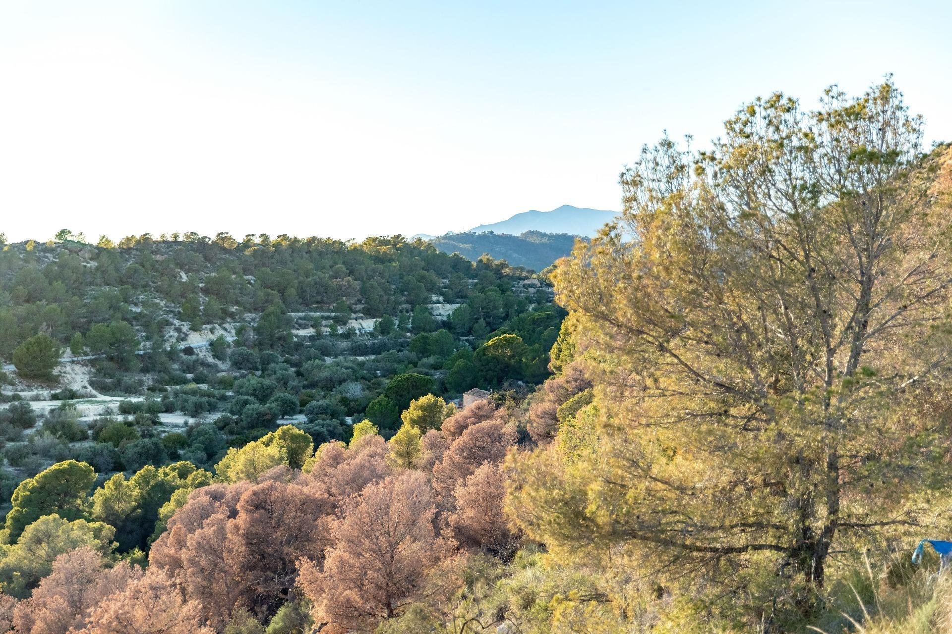 New Build - Apartment - Finestrat - Balcon de finestrat