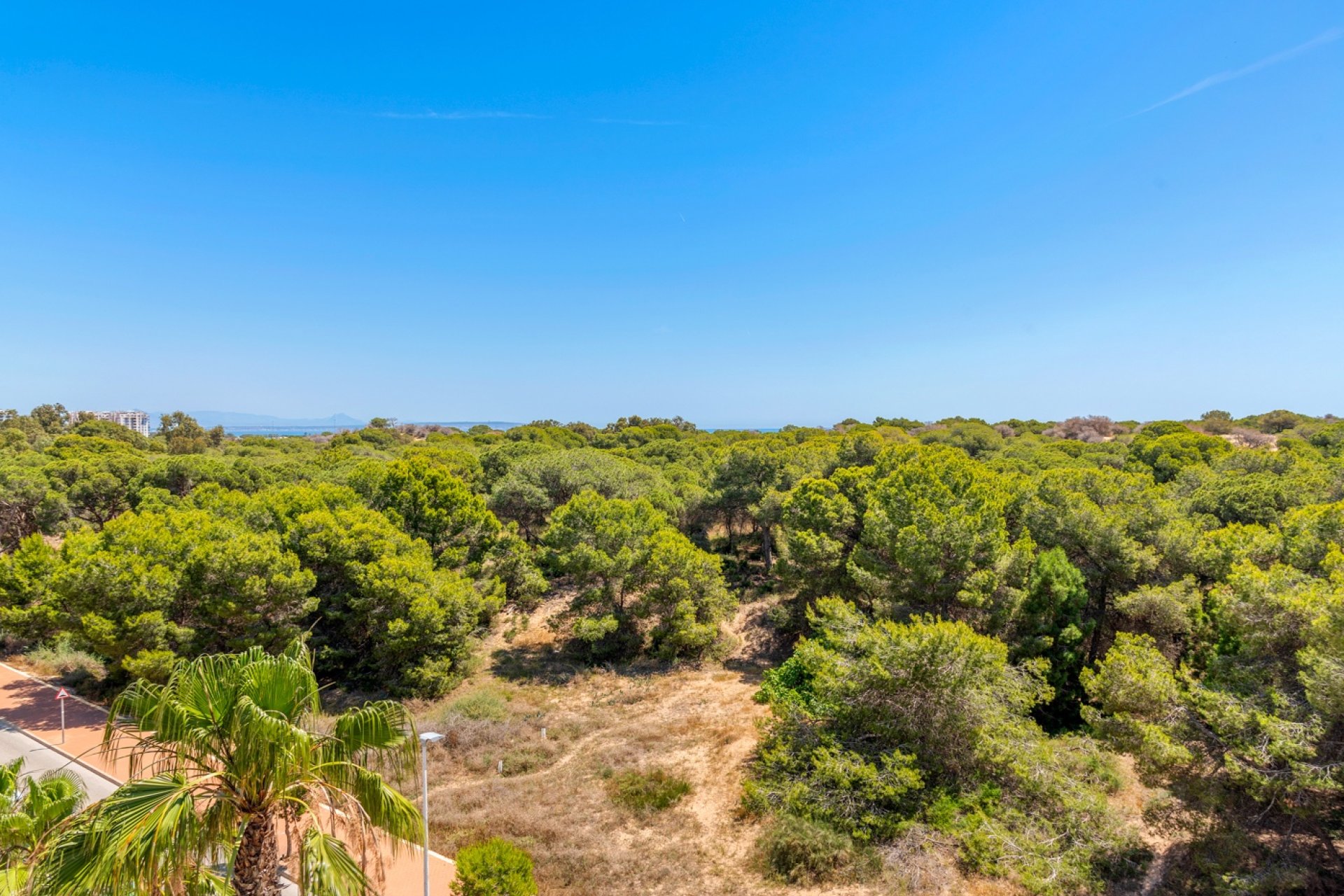 New Build - Apartment - Guardamar del Segura - Puerto Deportivo