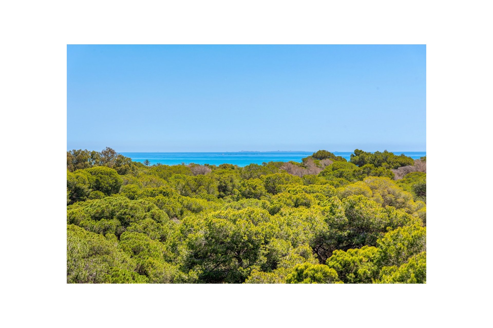 New Build - Apartment - Guardamar del Segura - Puerto Deportivo