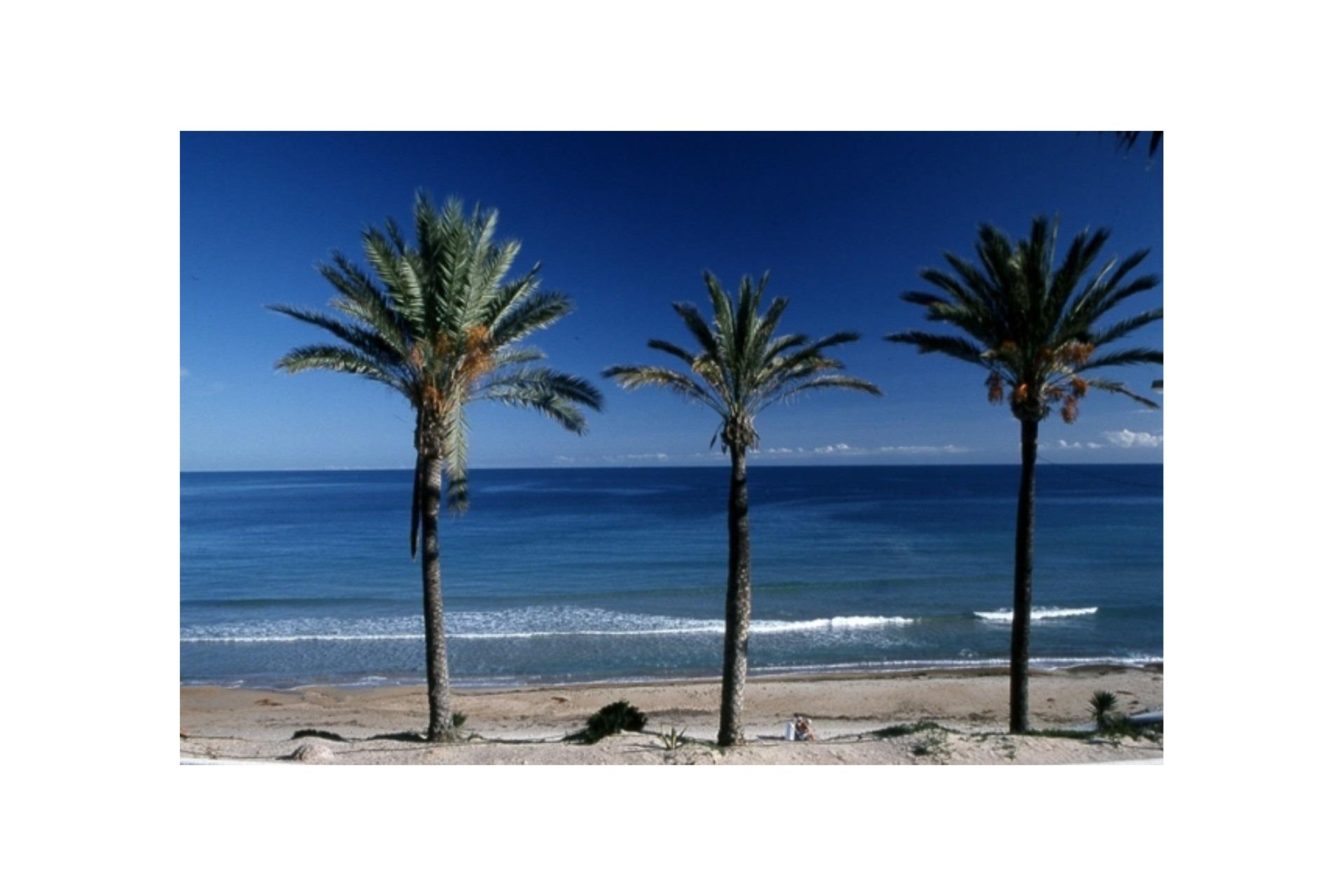 New Build - Bungalow - Pilar de la Horadada - Parque Ramon eugenio Escudero