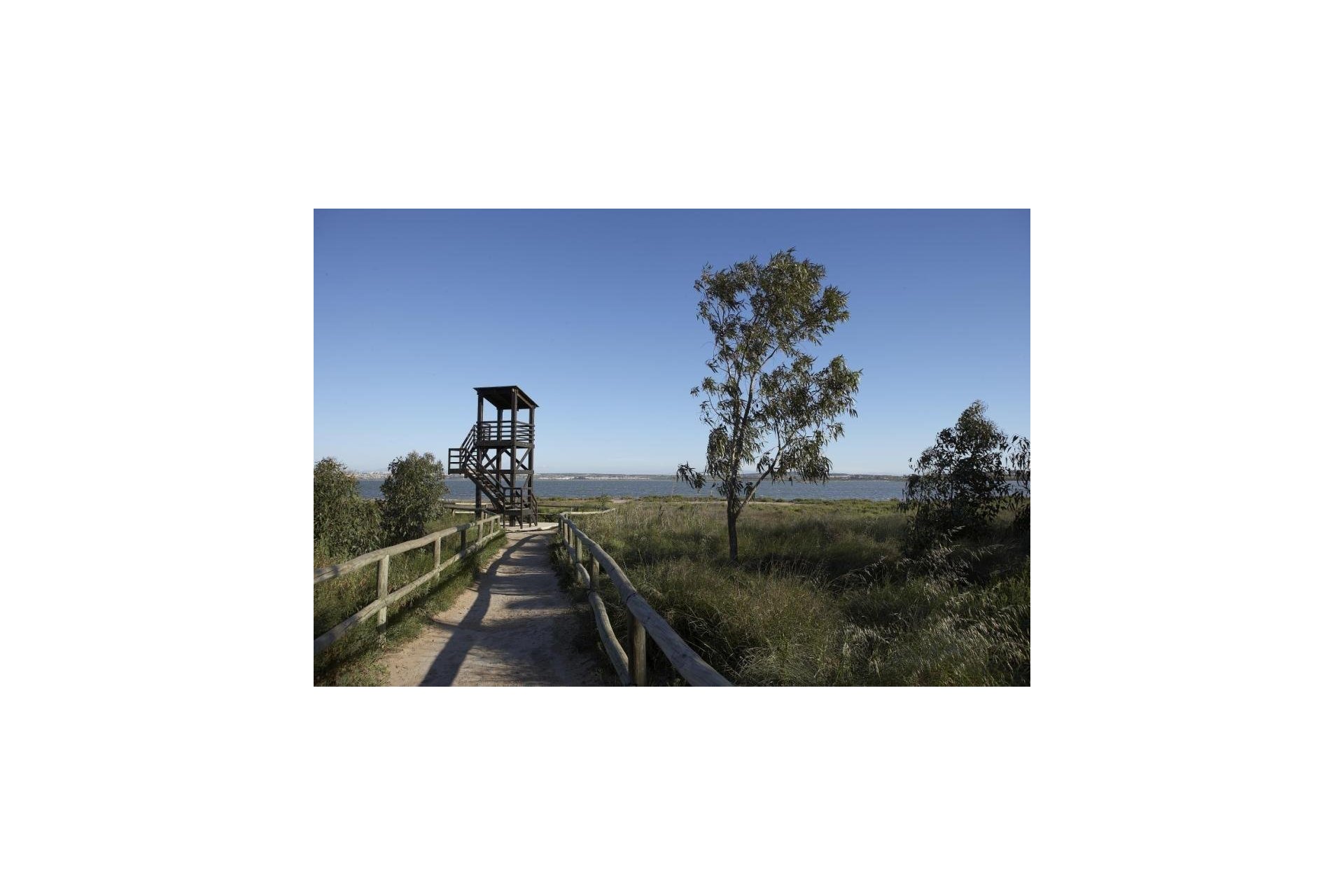 New Build - Bungalow - Torrevieja - Altos del Sol