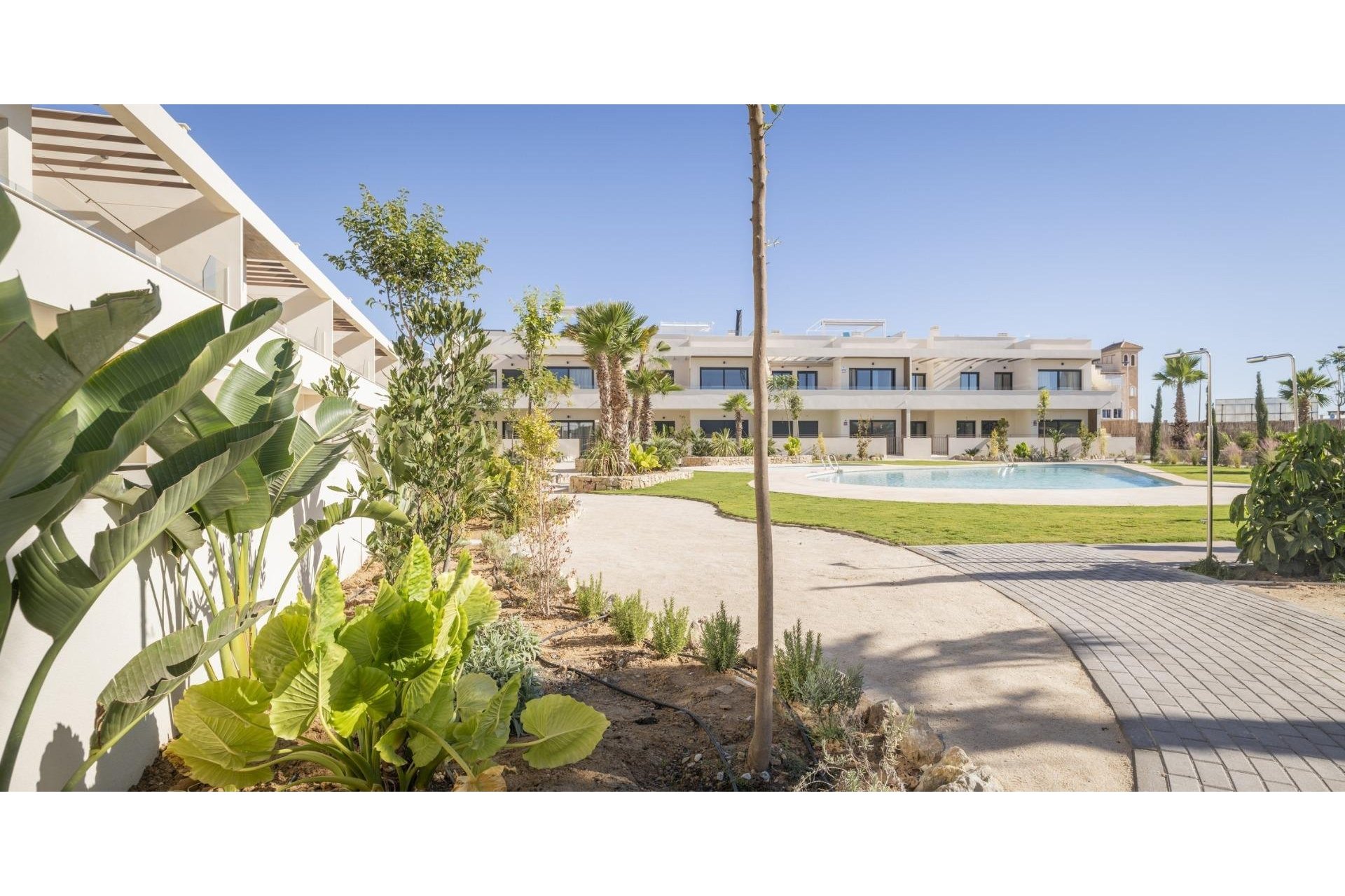 New Build - Bungalow - Torrevieja - Villa Amalia