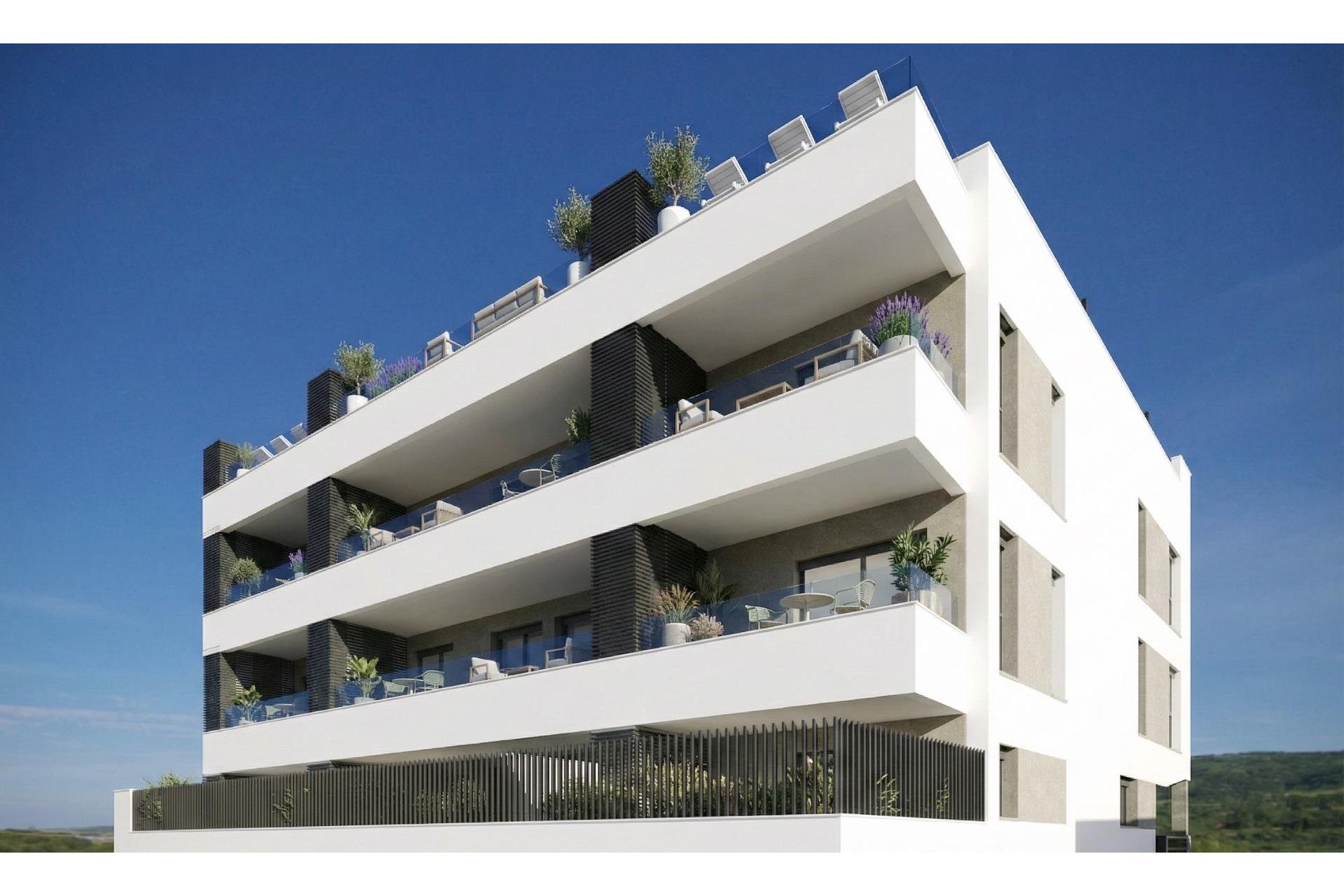 New Build - Penthouse - Benijofar - Pueblo