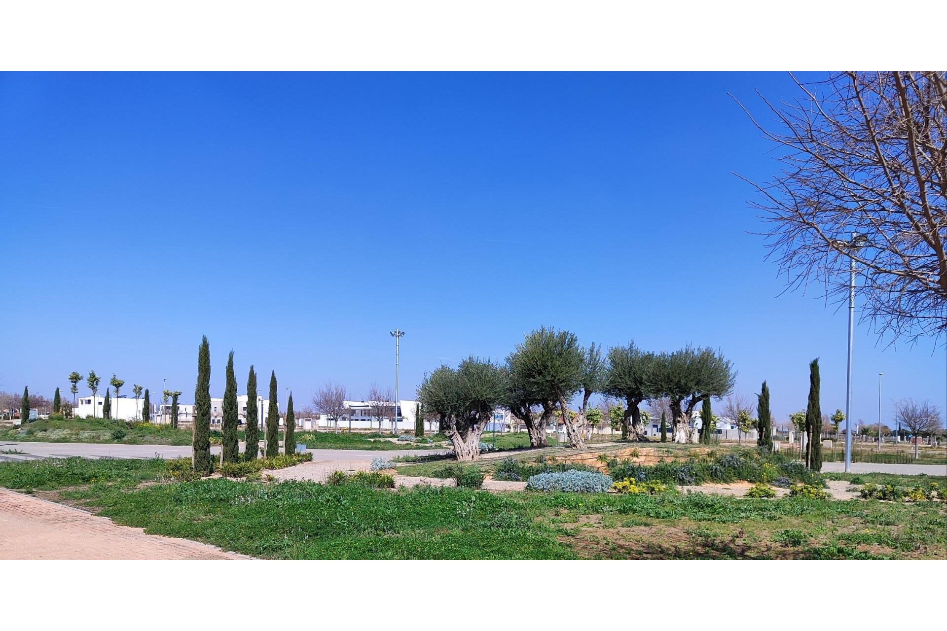 New Build - Penthouse - Torre Pacheco - Centro