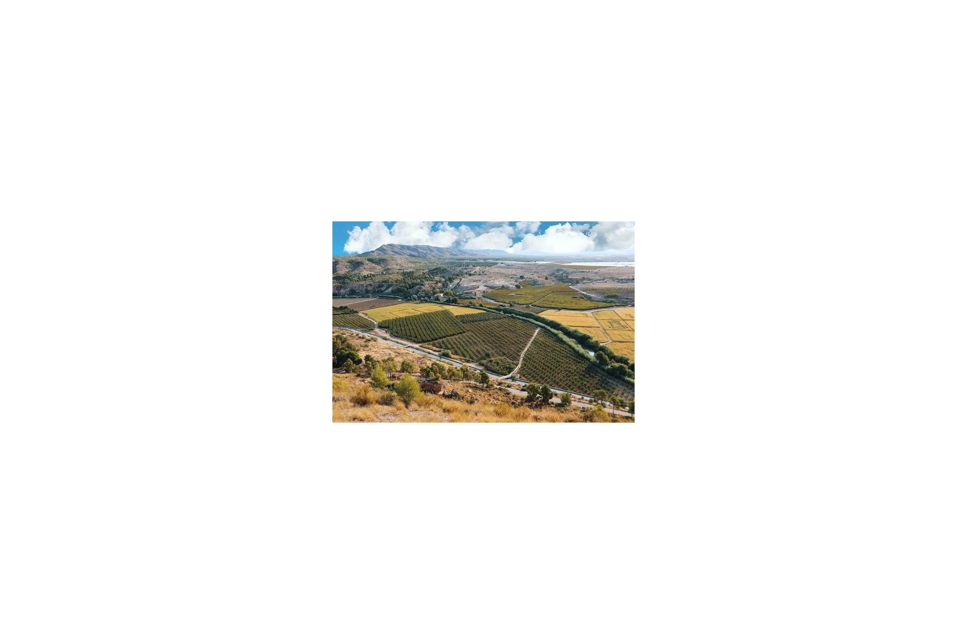 New Build - Villa - Calasparra - Coto riñales