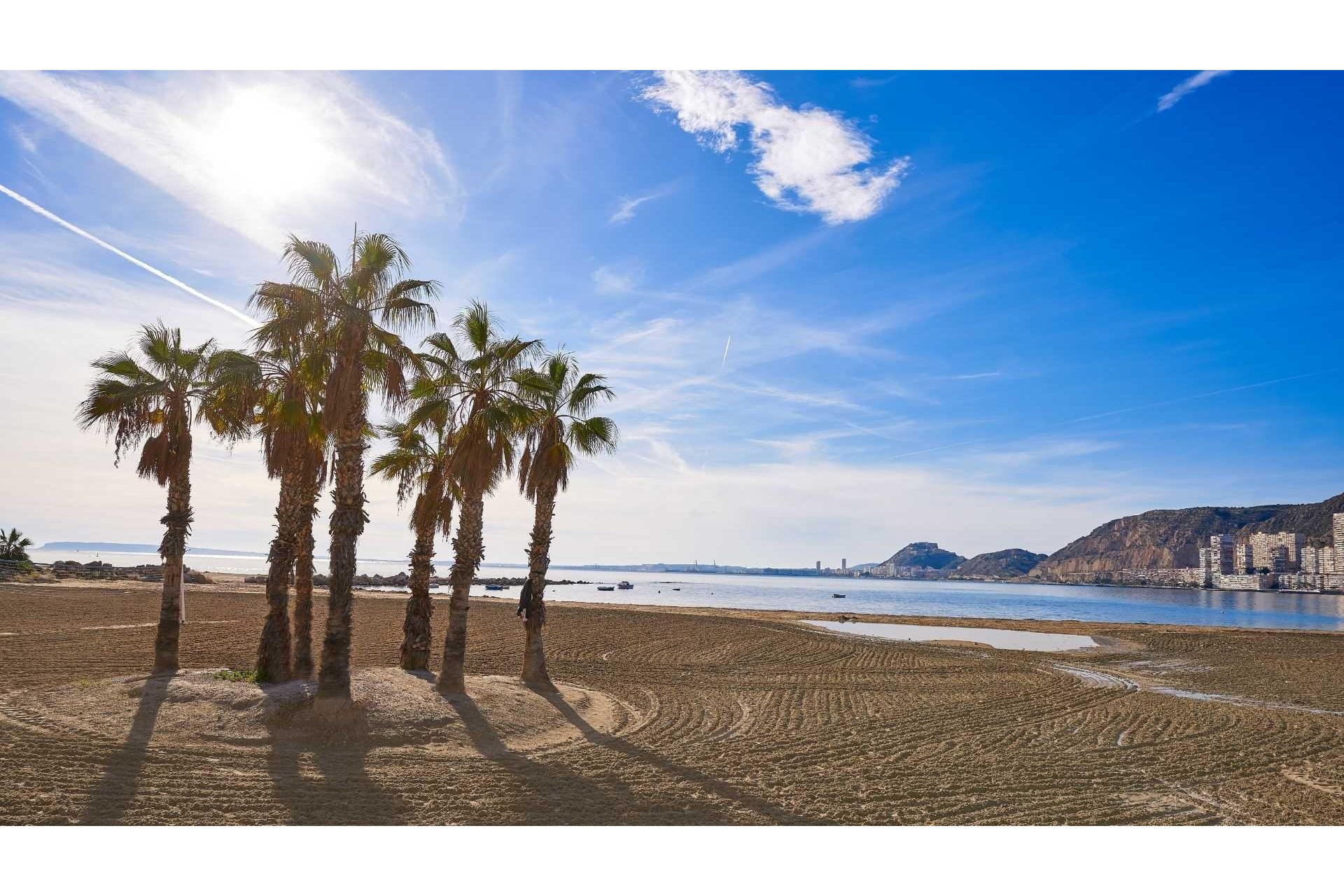 New Build - Villa - Els Poblets - Partida Barranquets