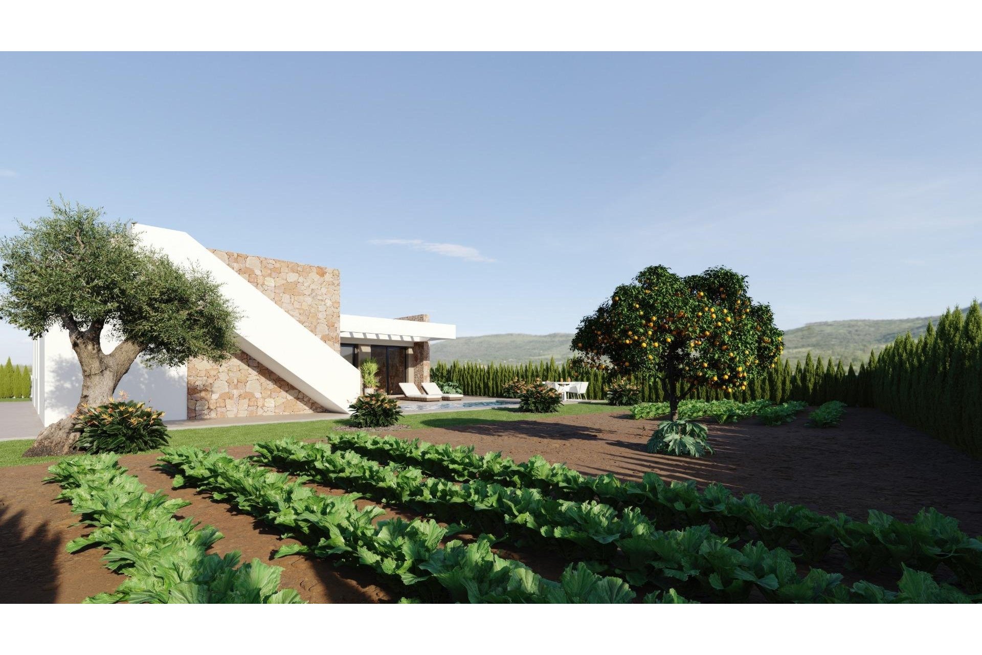 New Build - Villa - Fuente Álamo - Hacienda del Alamo