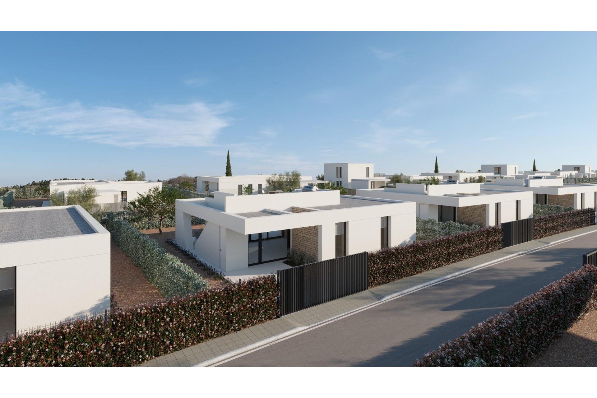 New Build - Villa - Fuente Álamo - Hacienda del Alamo