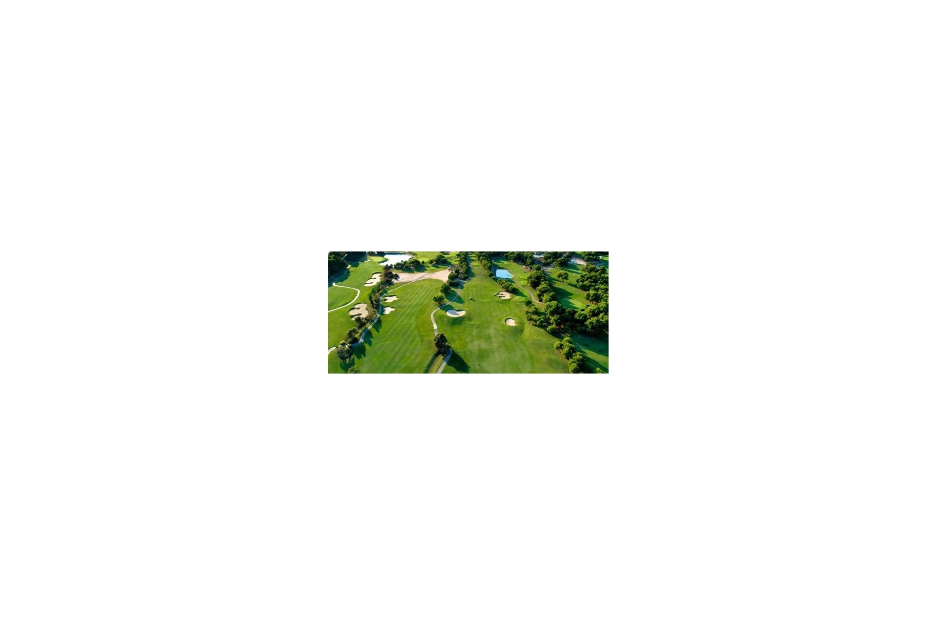 New Build - Villa - Pilar de la Horadada - Lo Romero Golf