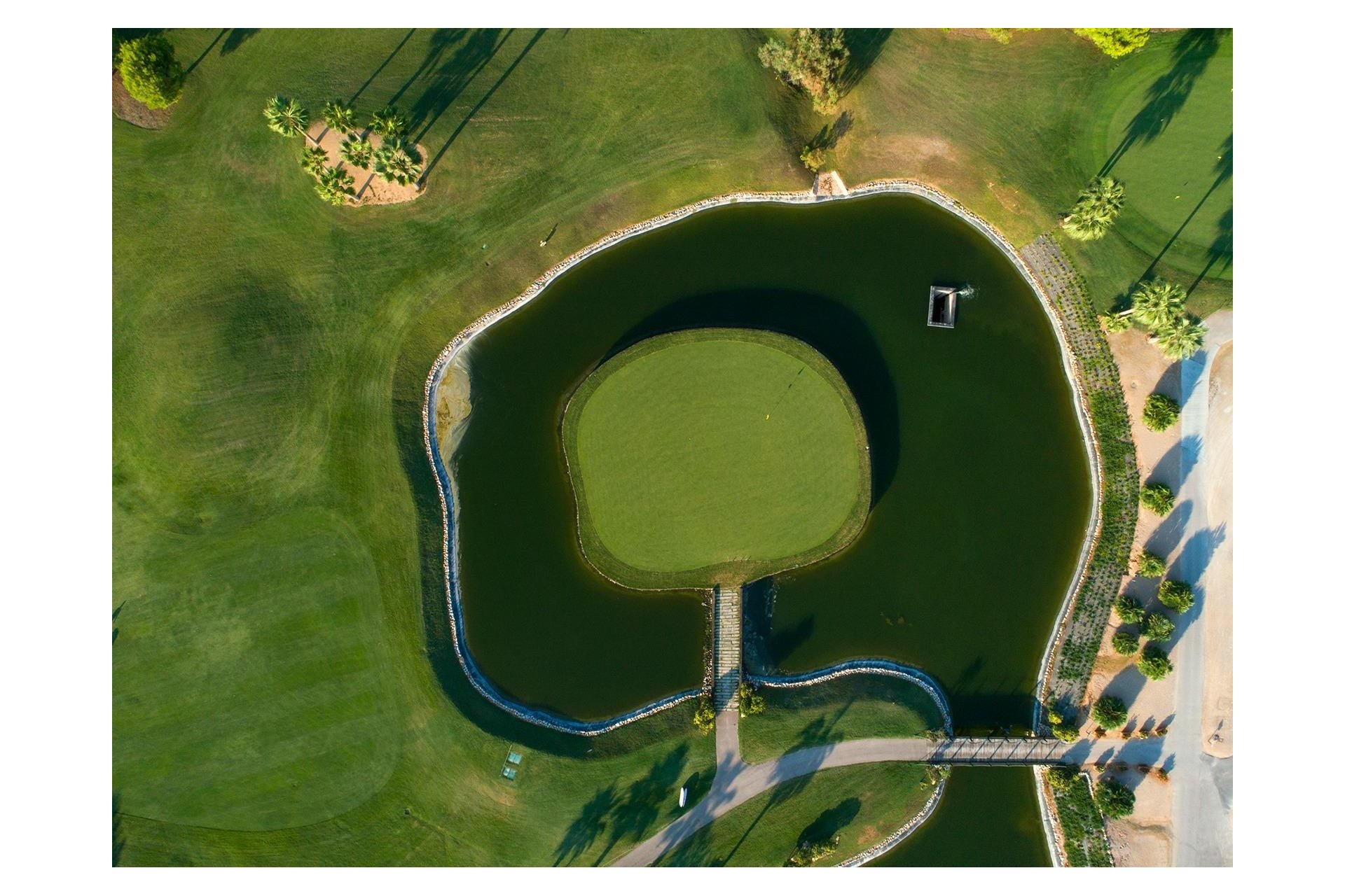 New Build - Villa - Pilar de la Horadada - Lo Romero Golf