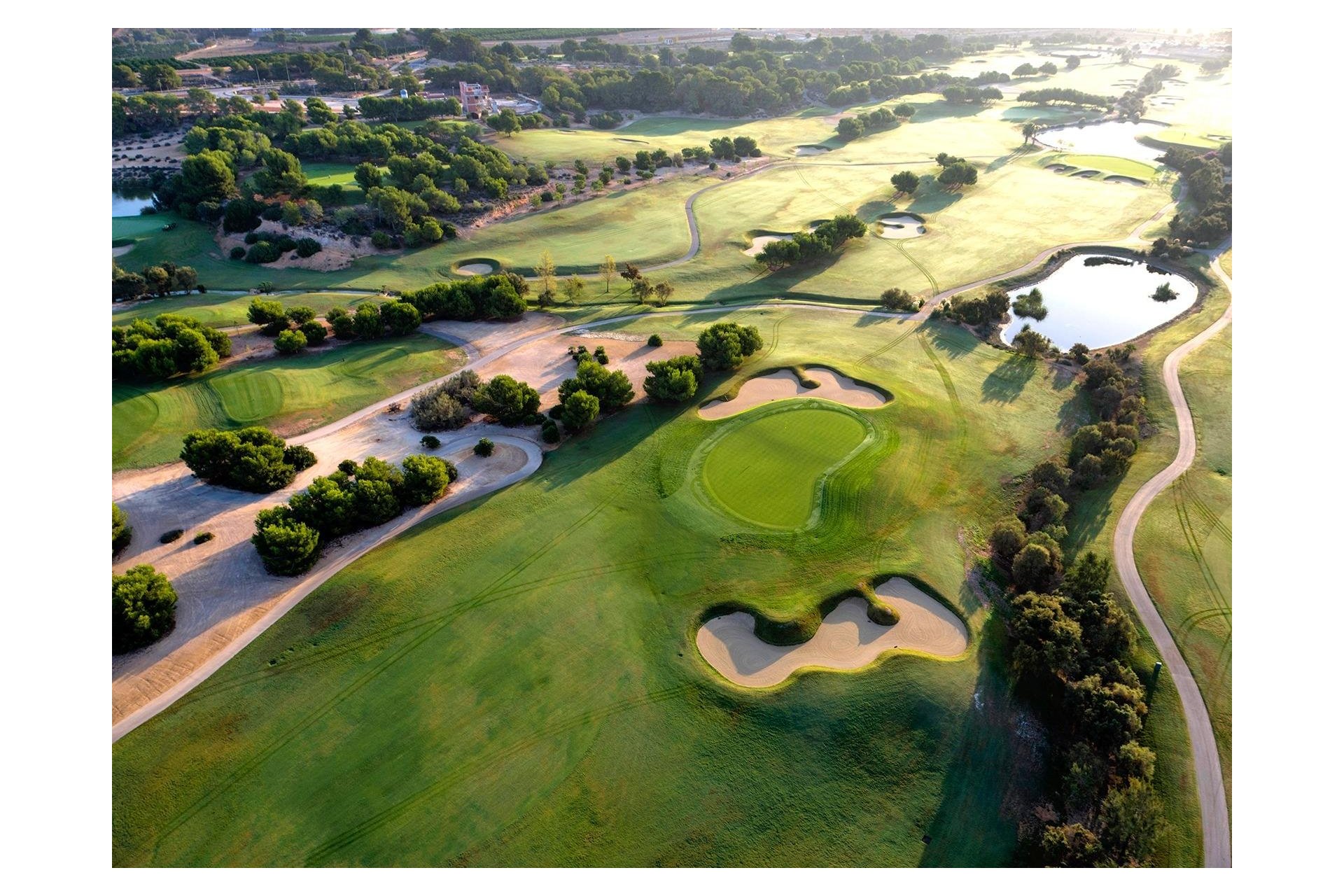 New Build - Villa - Pilar de la Horadada - Lo Romero Golf