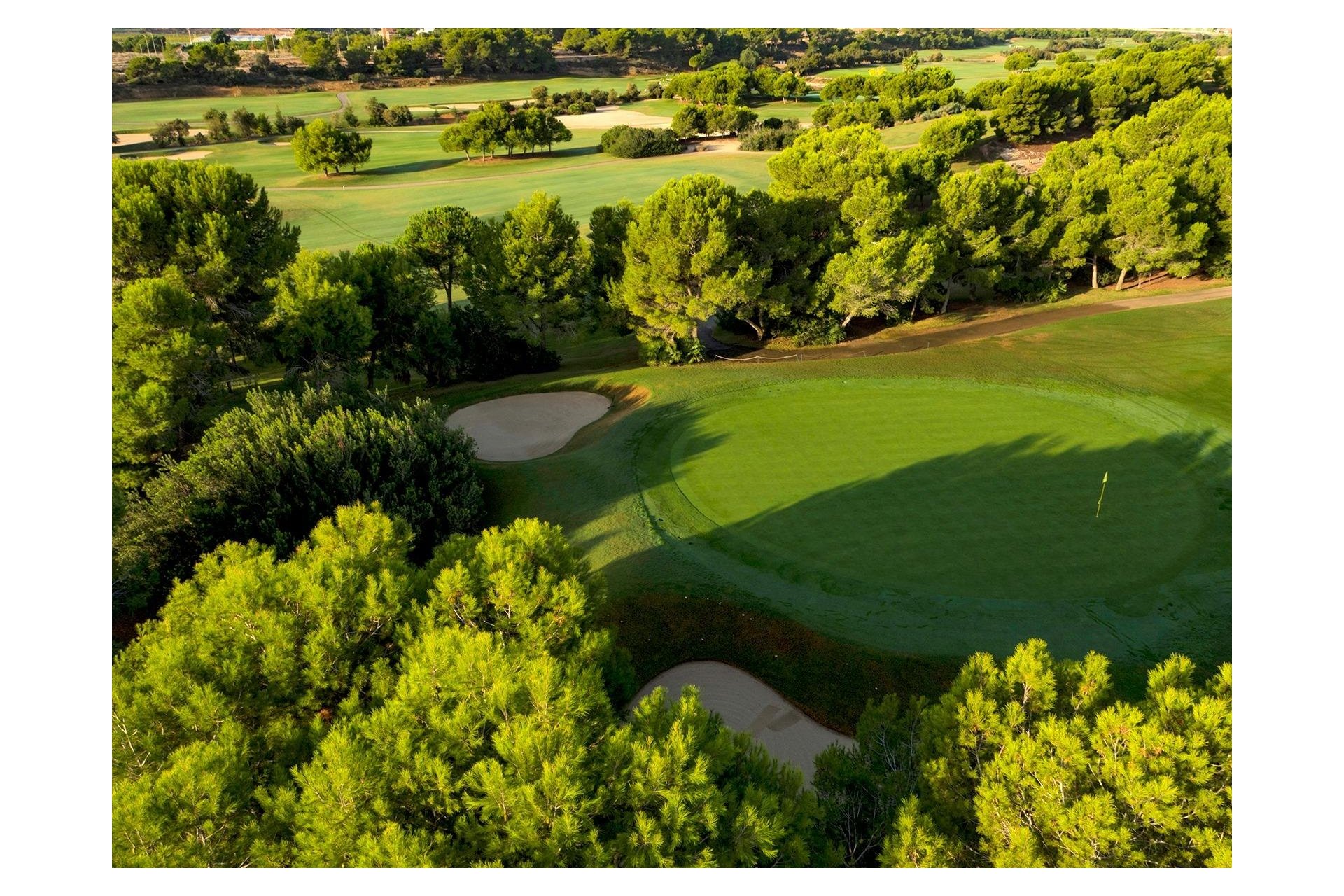 New Build - Villa - Pilar de la Horadada - Lo Romero Golf