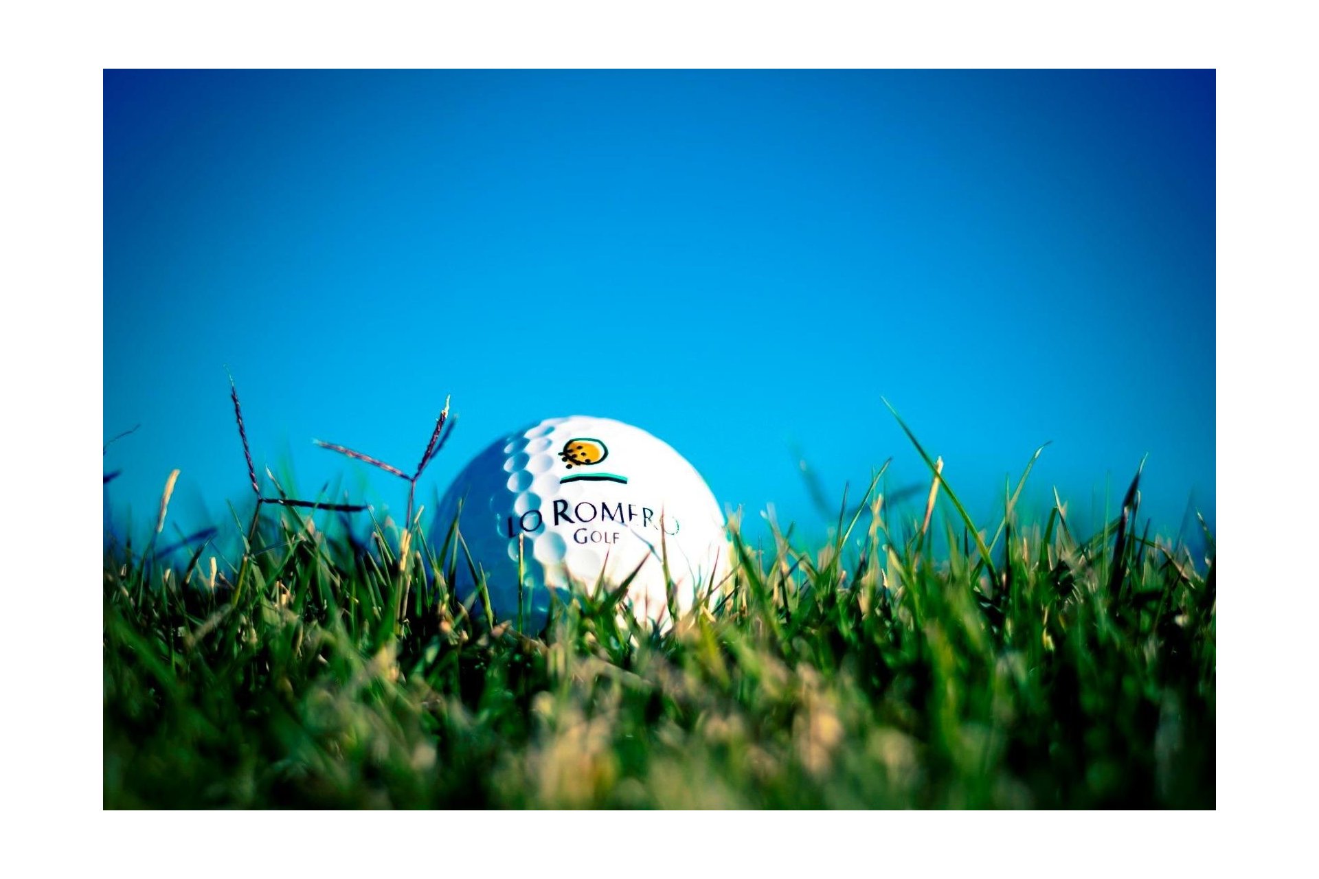 New Build - Villa - Pilar de la Horadada - Lo Romero Golf