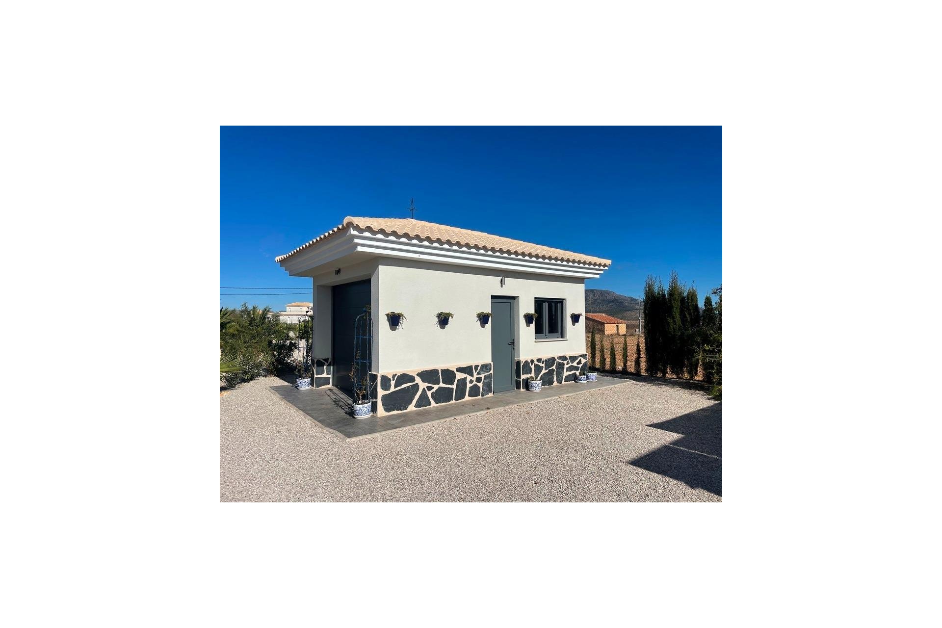 New Build - Villa - Pinoso - Camino Del Prado