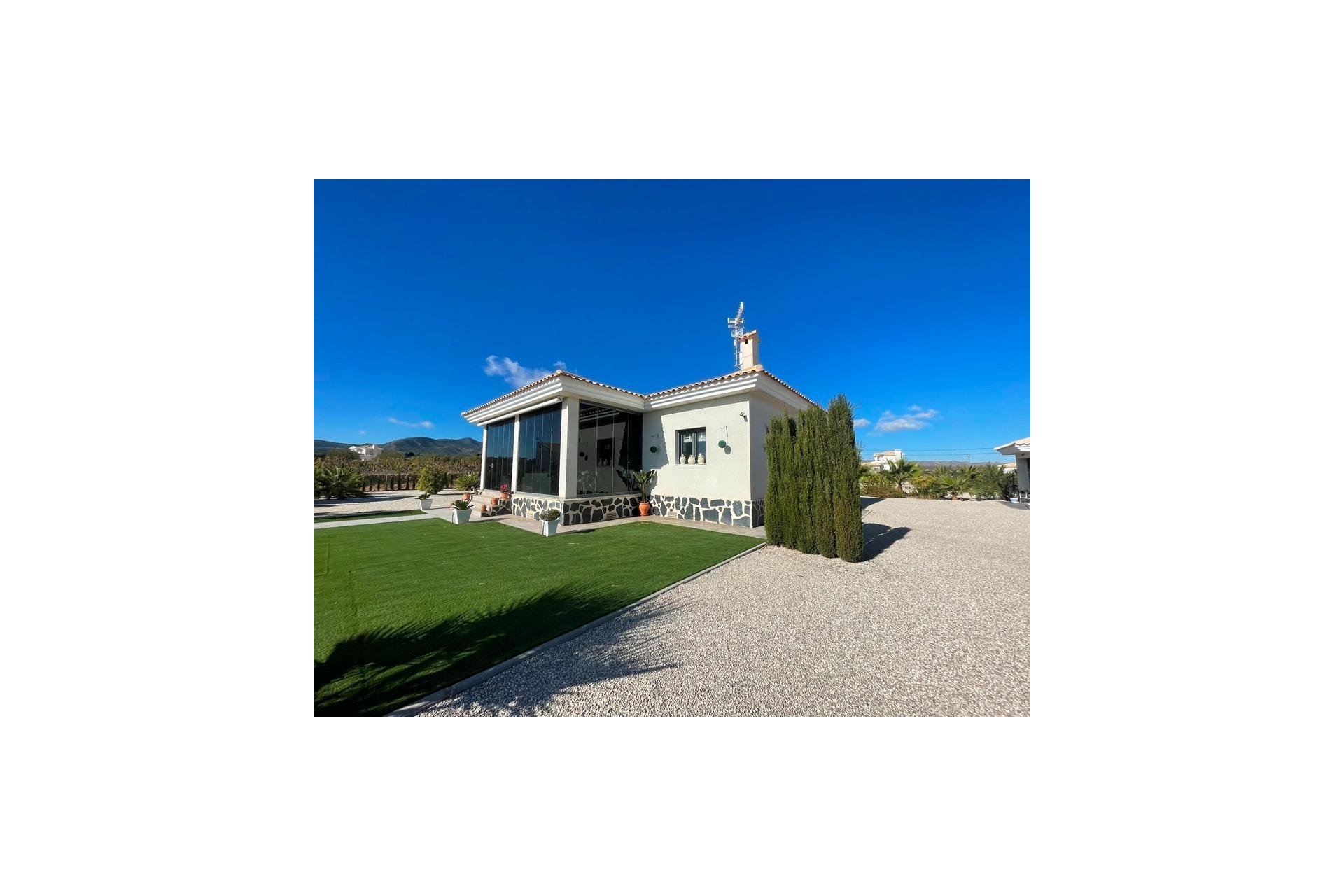 New Build - Villa - Pinoso - Camino Del Prado