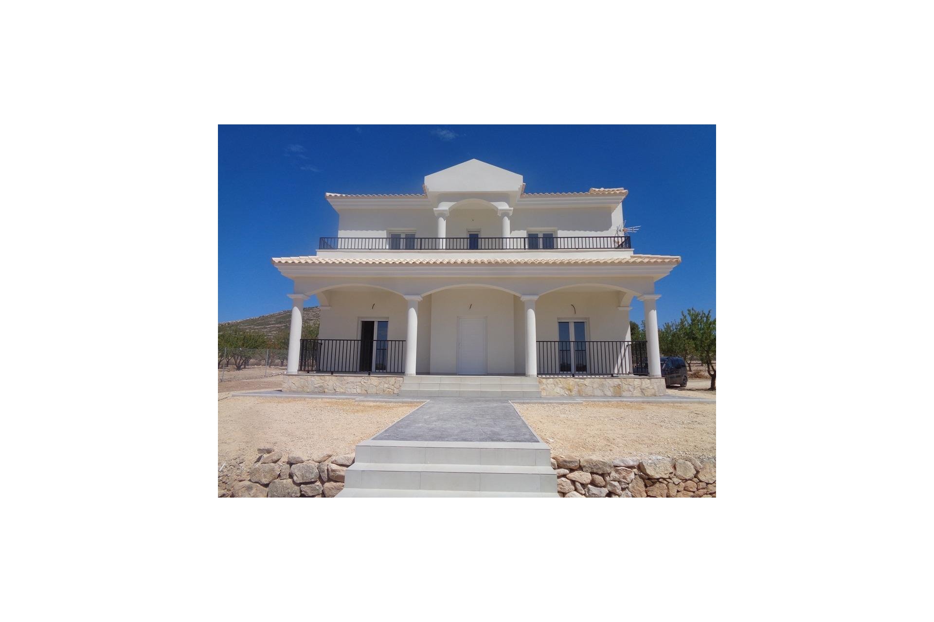 New Build - Villa - Pinoso - Camino Del Prado