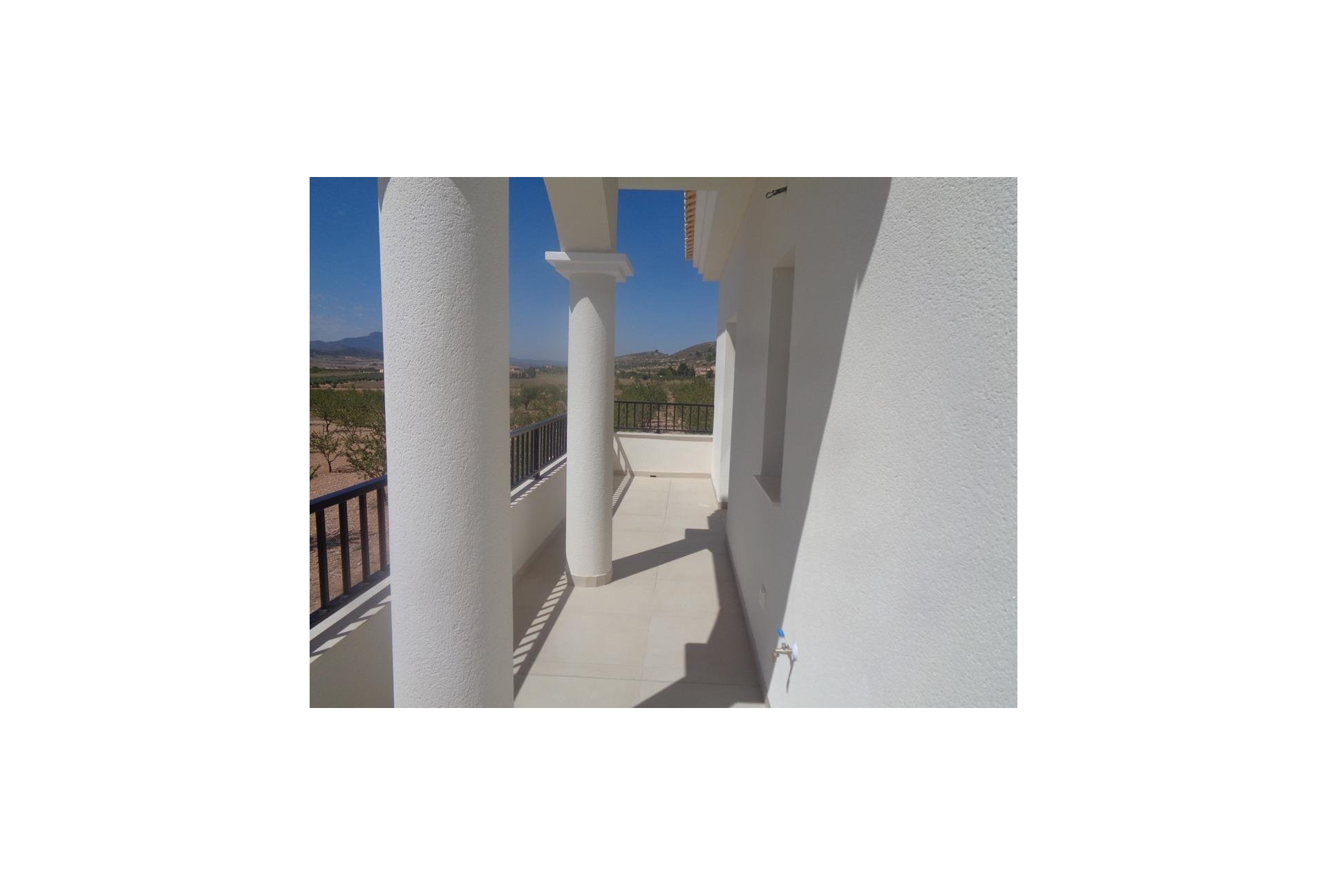 New Build - Villa - Pinoso - Camino Del Prado