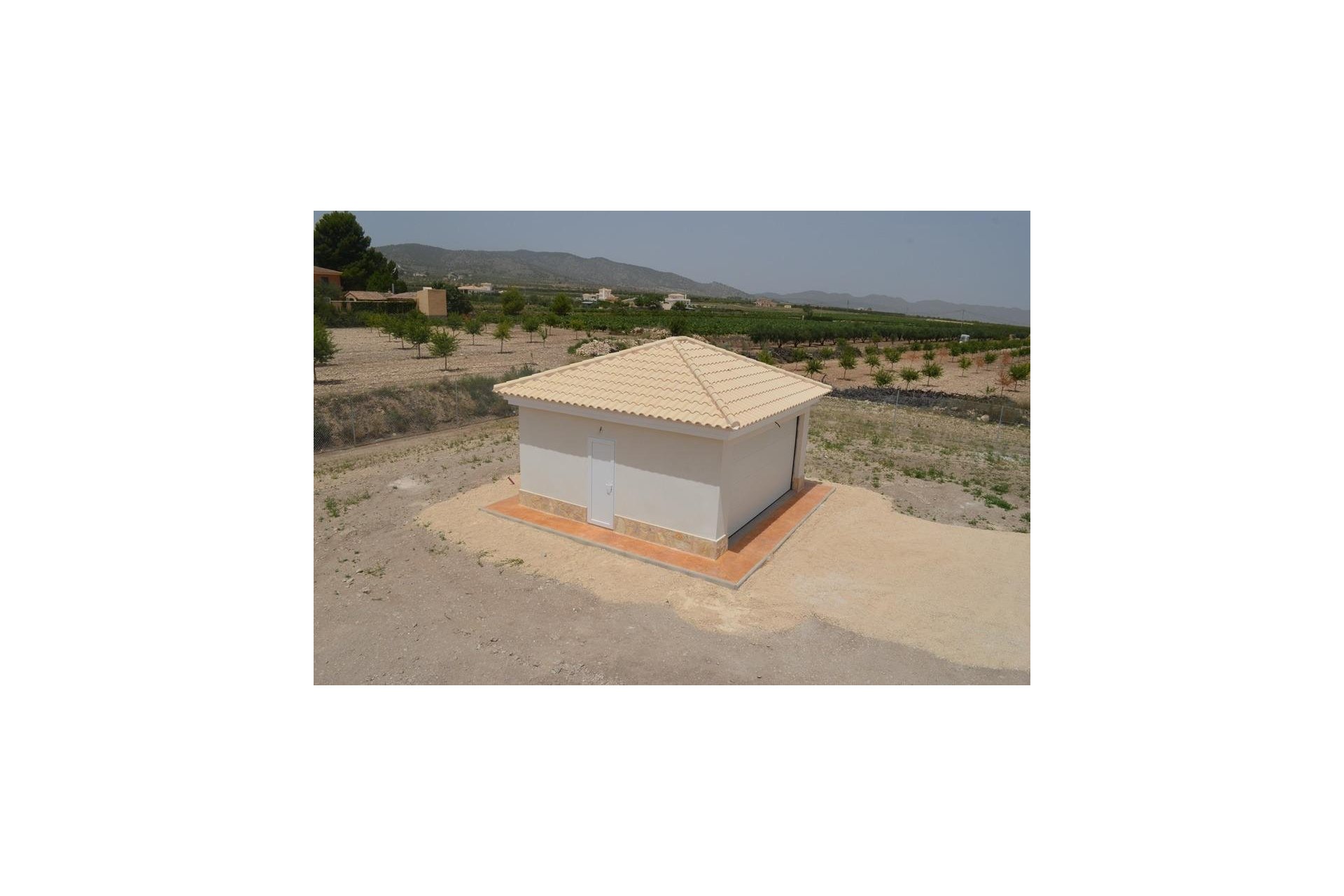 New Build - Villa - Pinoso - Camino Del Prado