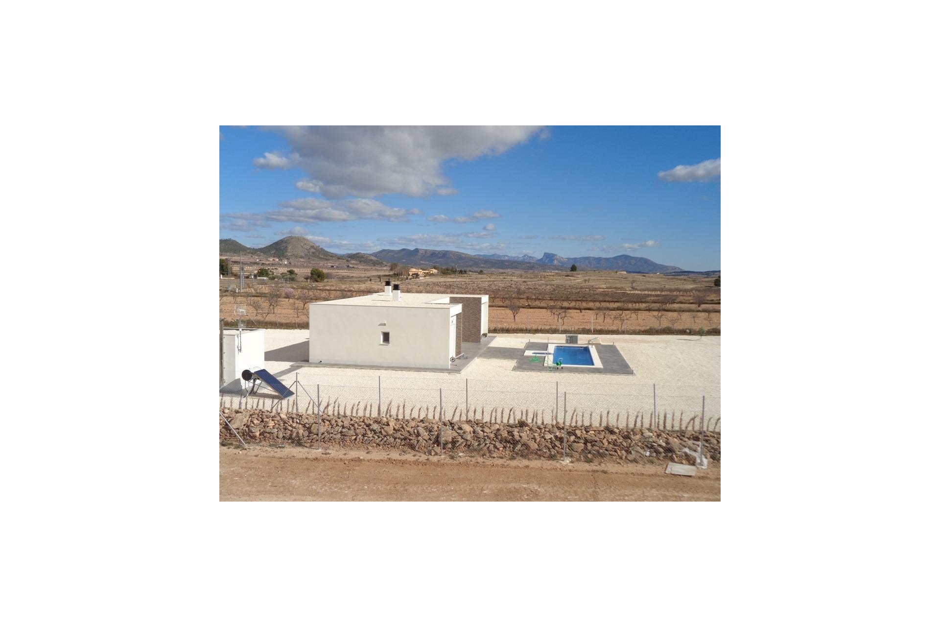 New Build - Villa - Pinoso - Camino Del Prado