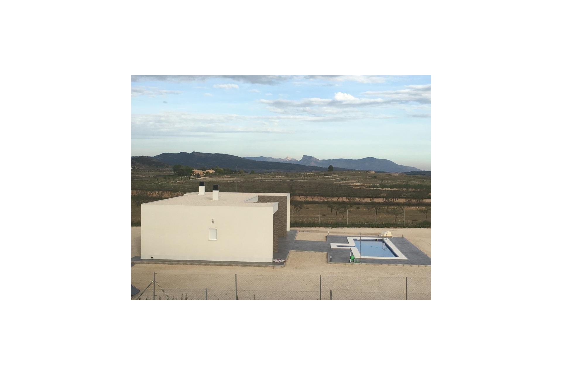 New Build - Villa - Pinoso - Camino Del Prado