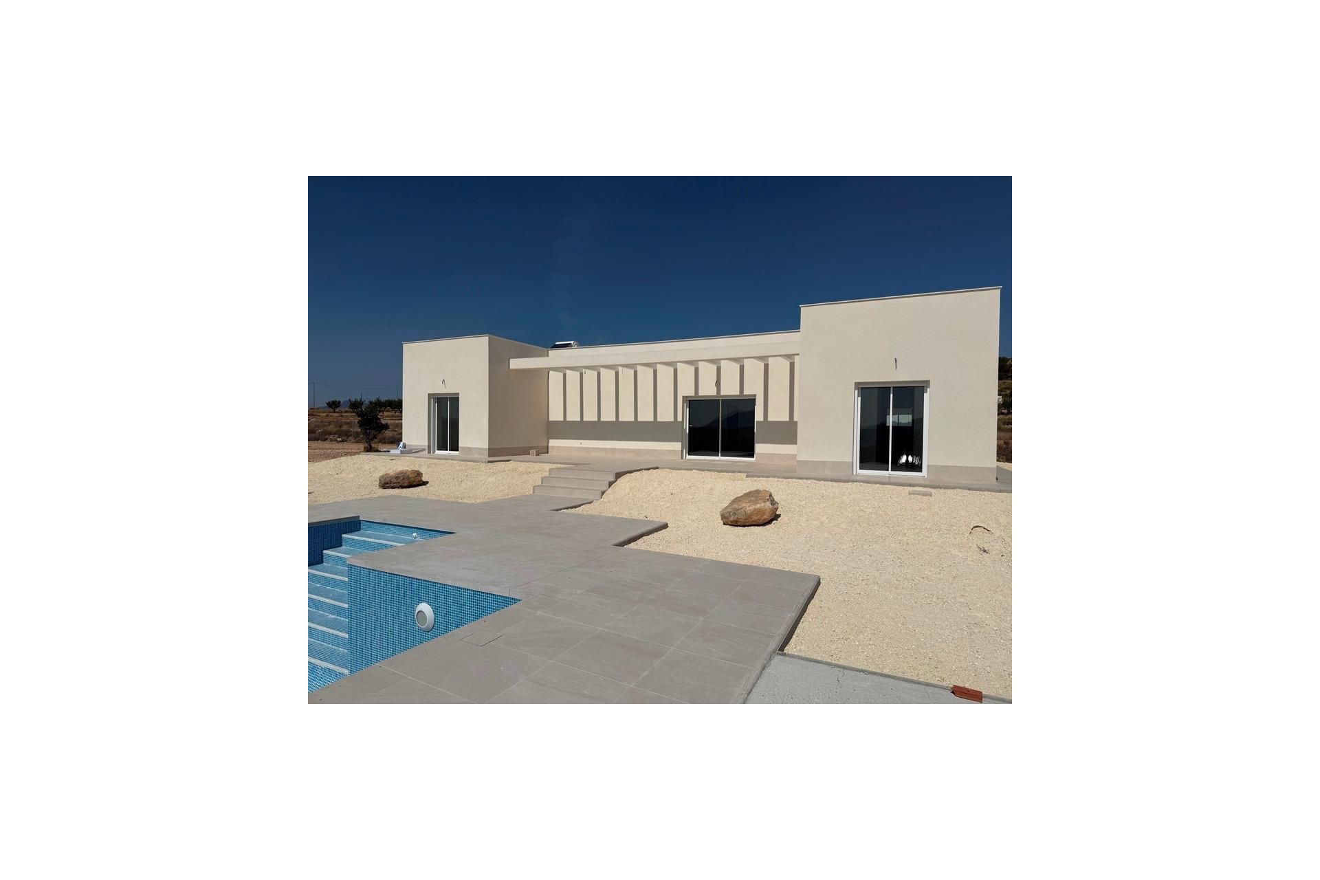New Build - Villa - Pinoso - Camino Del Prado