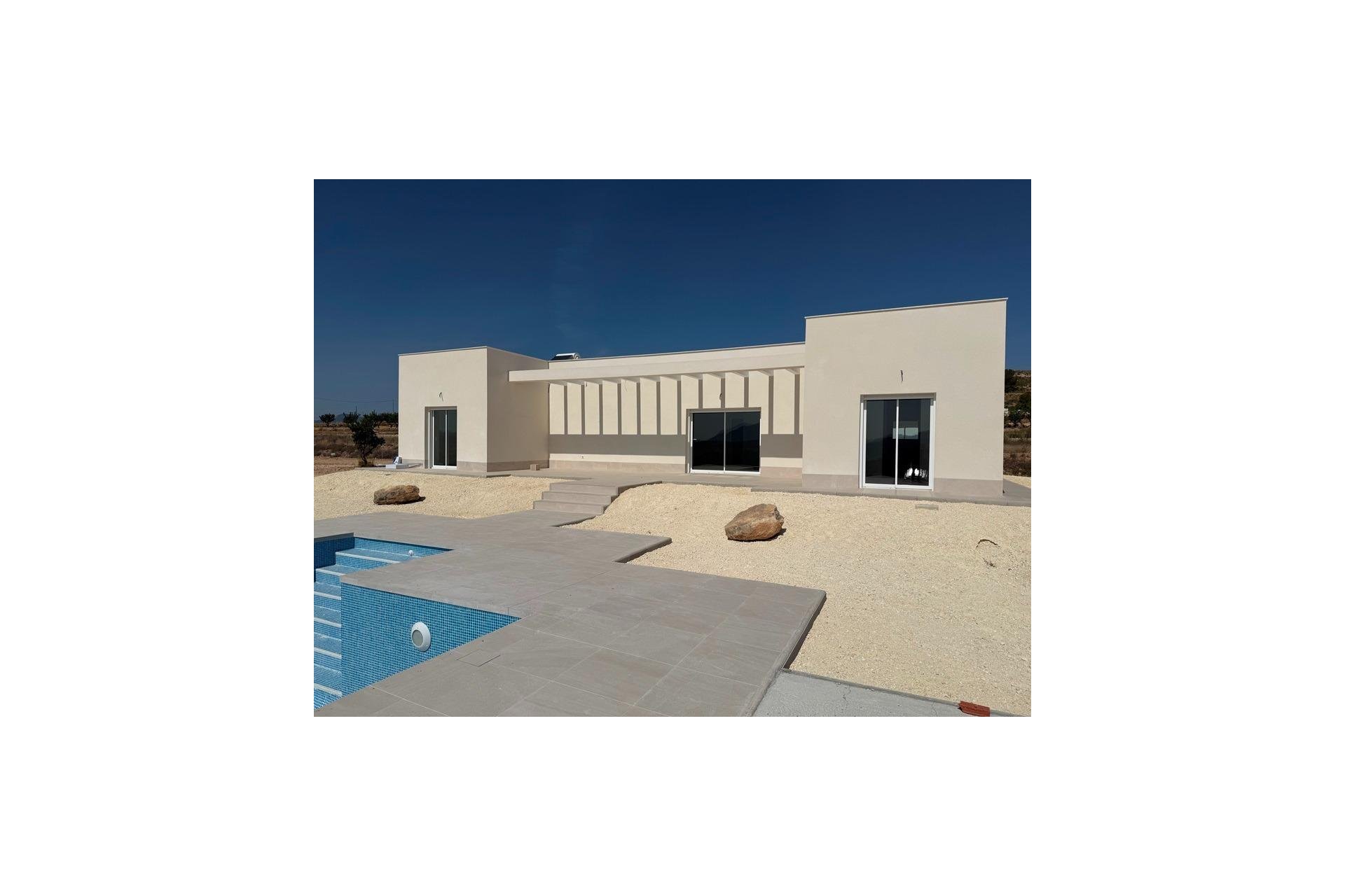 New Build - Villa - Pinoso - Camino Del Prado