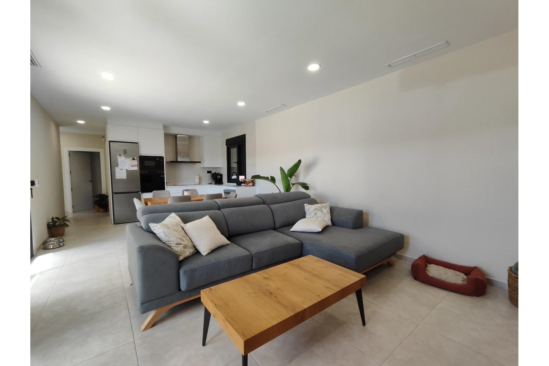 New Build - Villa - Pinoso - Lel