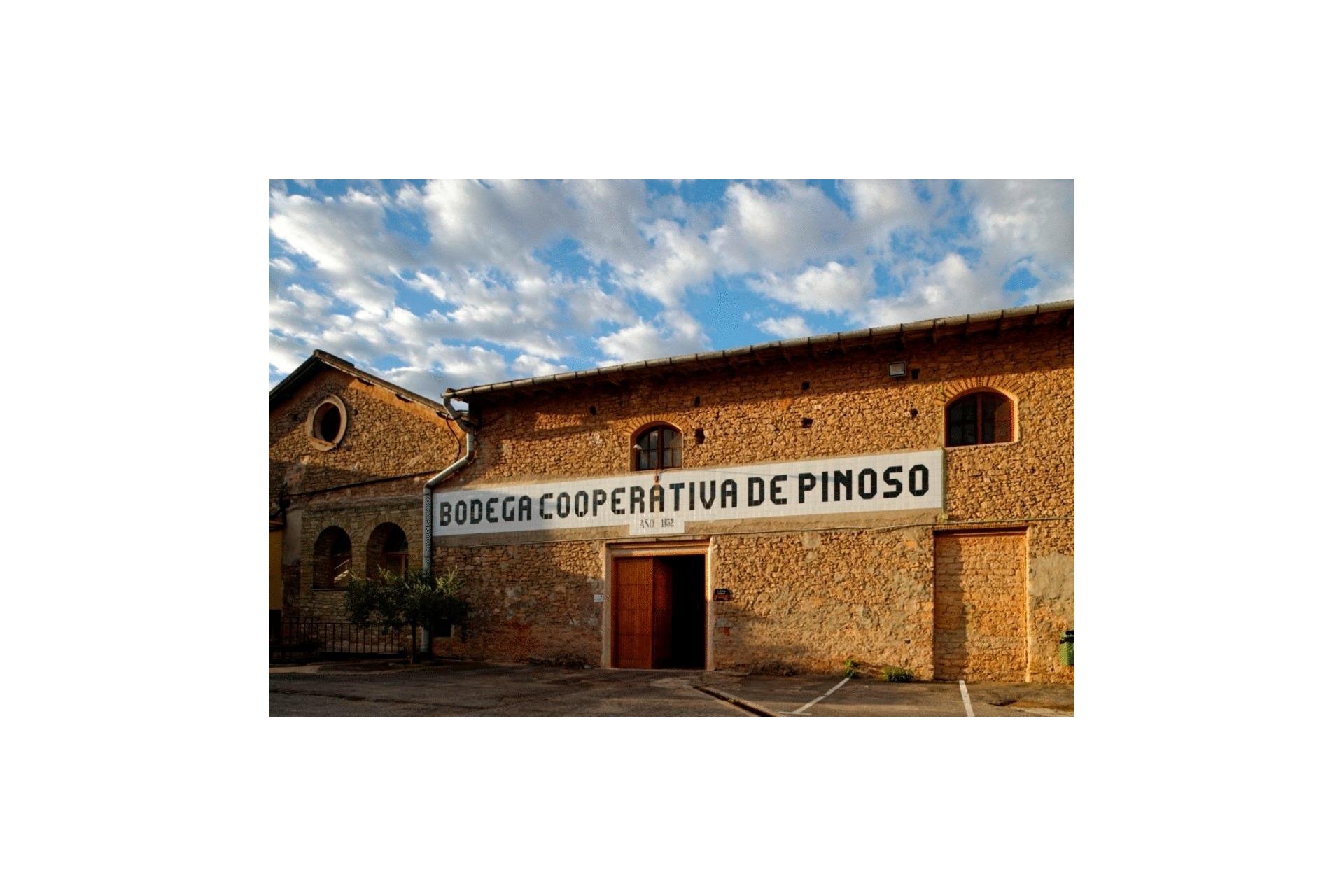 New Build - Villa - Pinoso - Lel