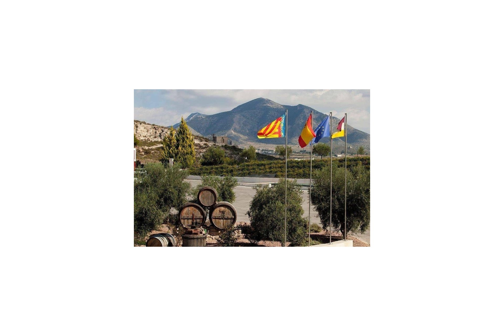 New Build - Villa - Pinoso - Lel