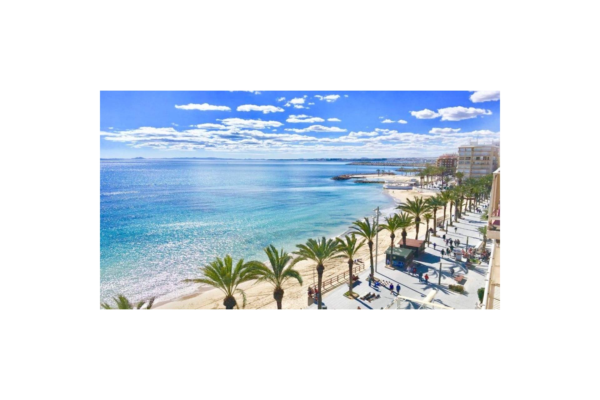 New Build - Villa - Torrevieja - Lago Jardín II