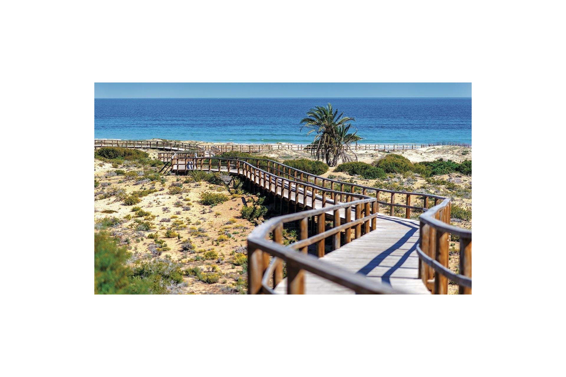 Obra nueva - Ático - Monforte del Cid - Alenda Golf