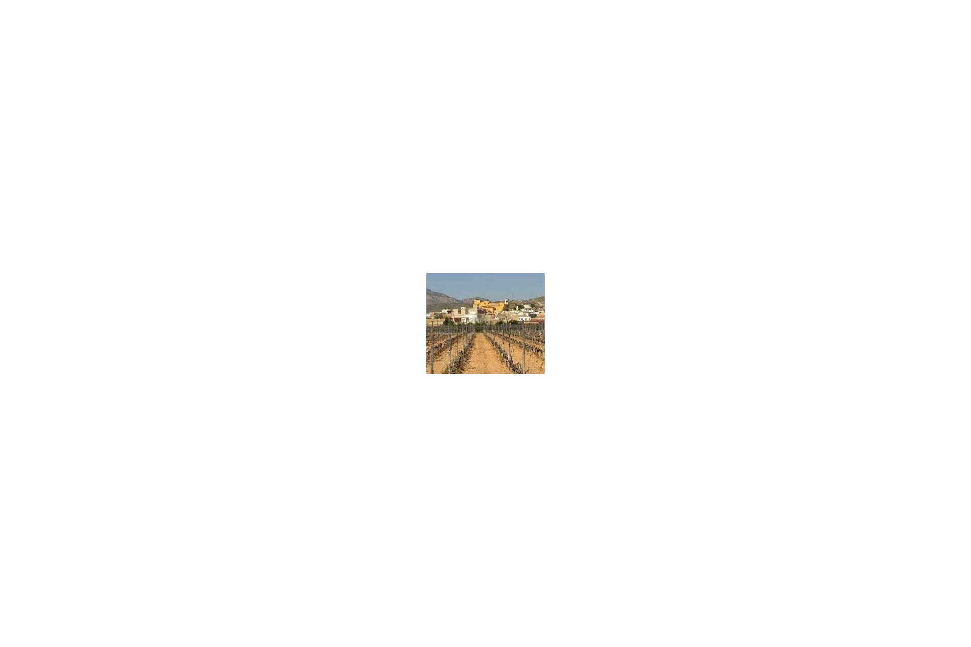 Obra nueva - Bungalow - Hondón de las Nieves - El Salero