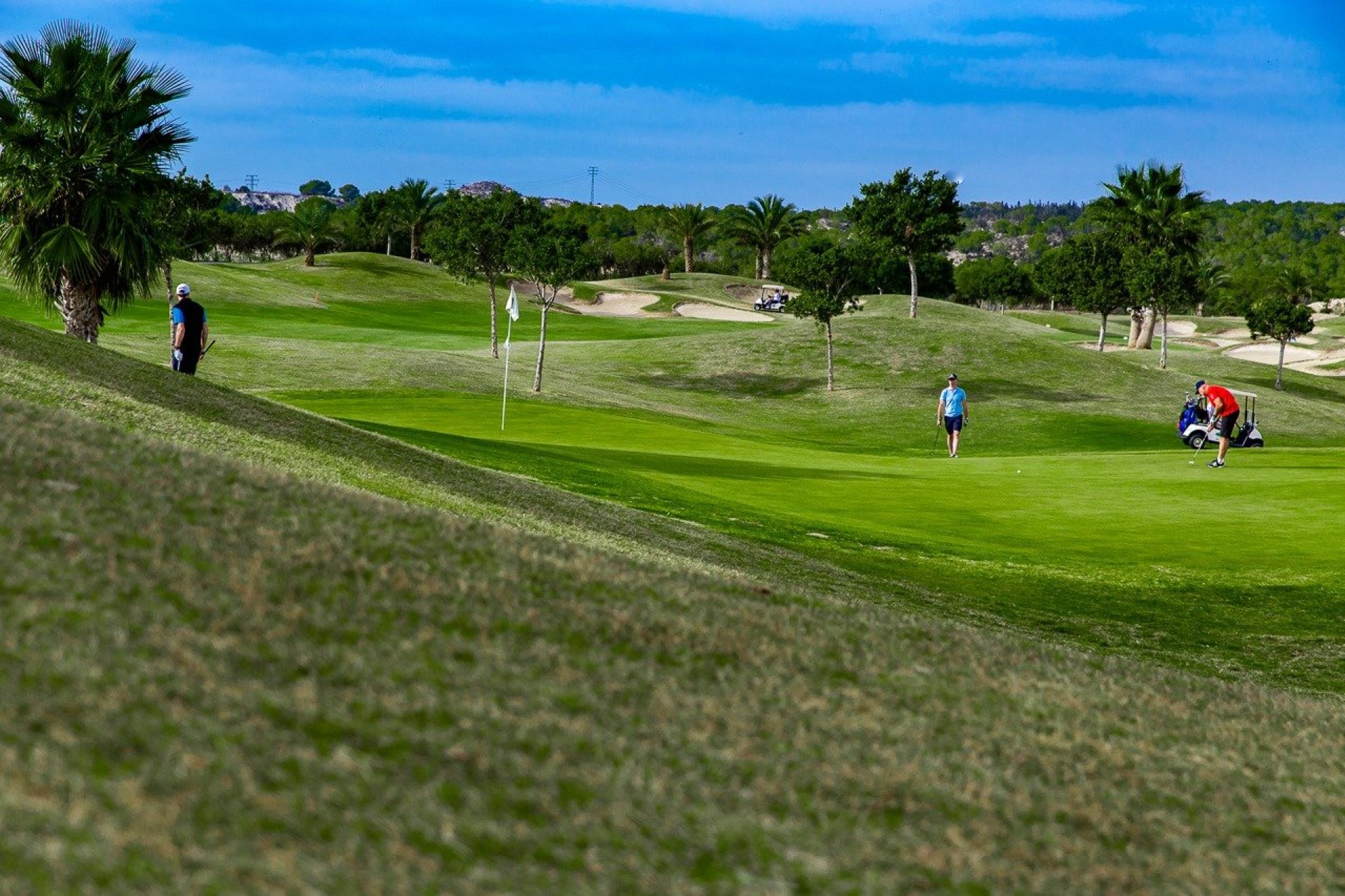 Obra nueva - Bungalow - Orihuela - Vistabella Golf
