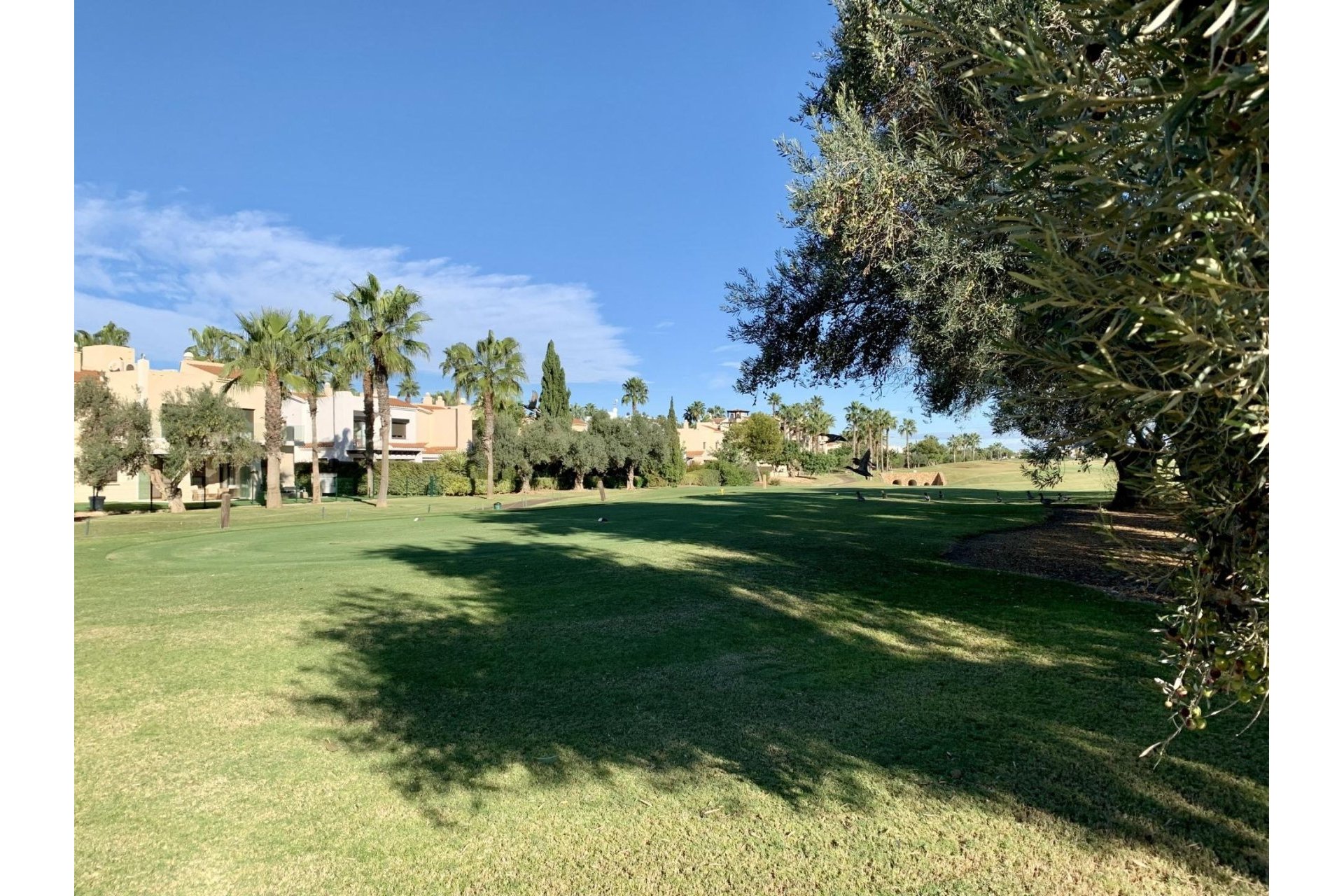 Obra nueva - Bungalow - San Javier - Roda Golf