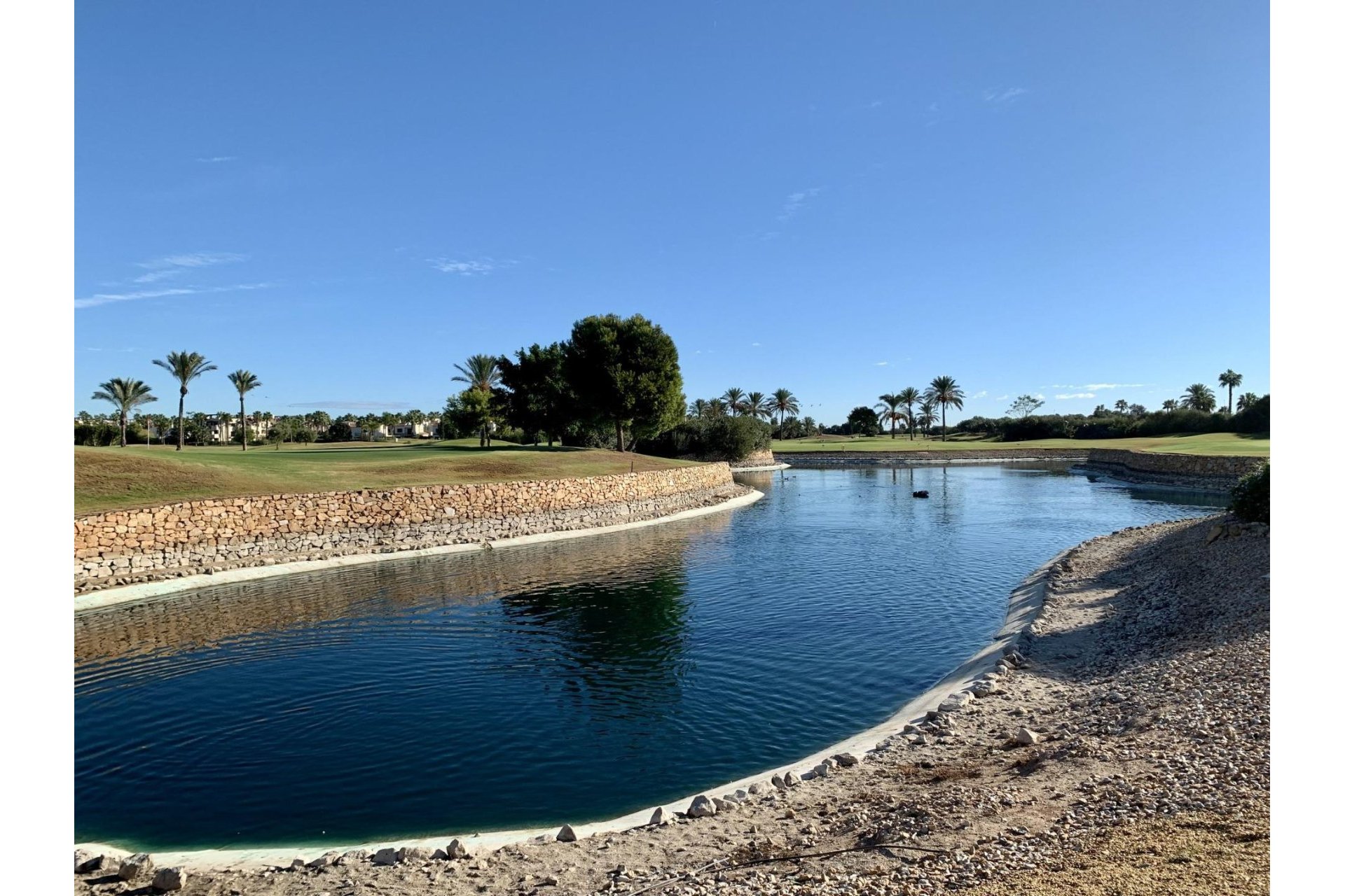 Obra nueva - Bungalow - San Javier - Roda Golf