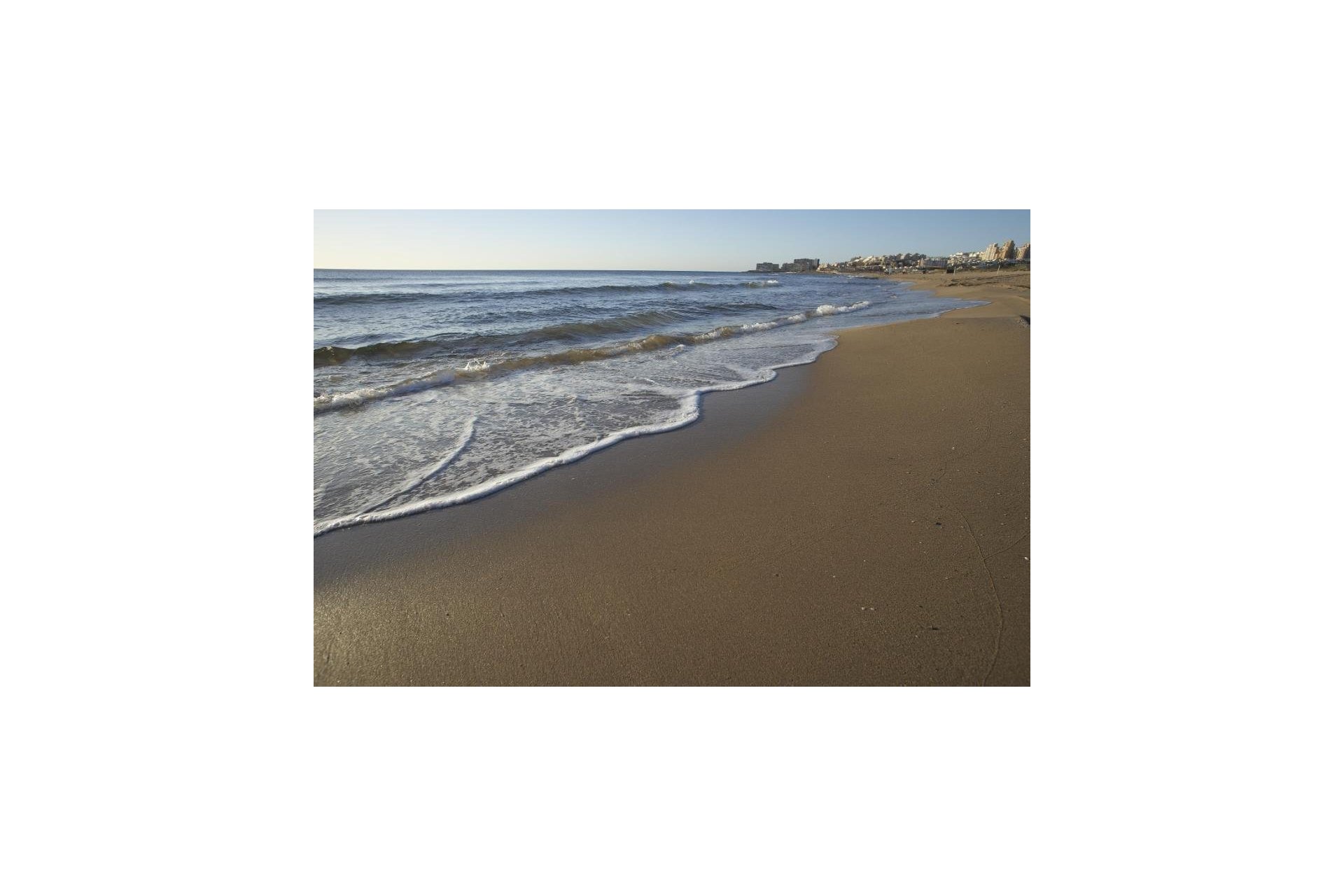 Obra nueva - Bungalow - Torrevieja - Altos del Sol