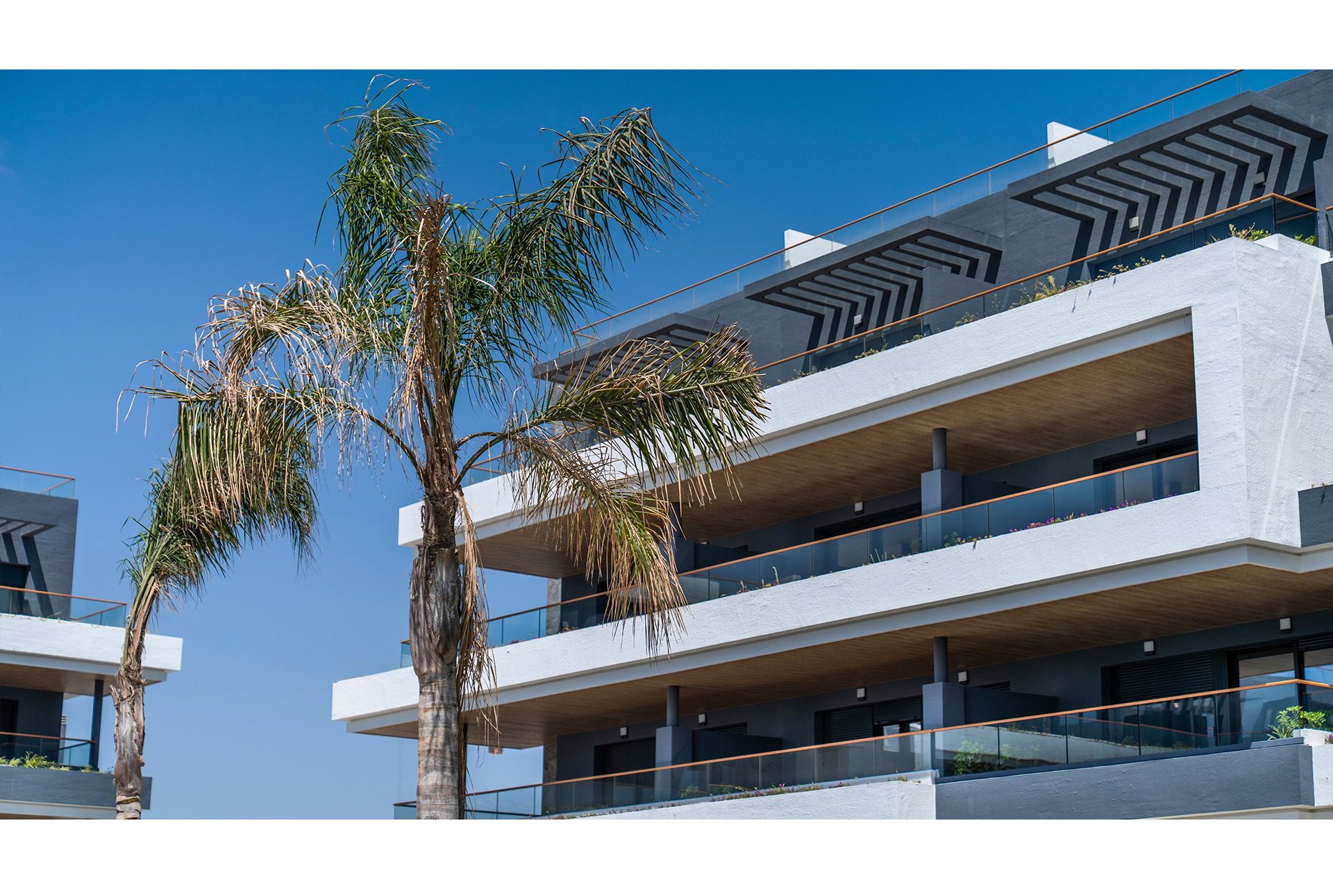 Obra nueva - Bungalow - Torrevieja - Spain