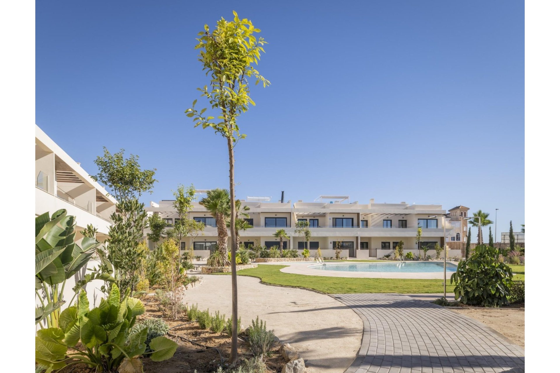 Obra nueva - Bungalow - Torrevieja - Villa Amalia