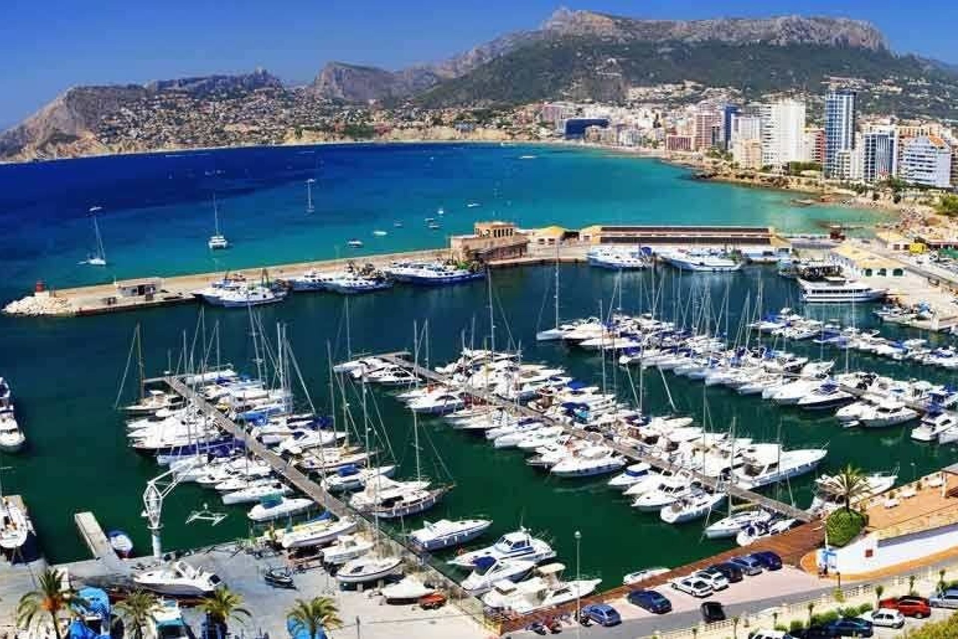 Obra nueva - Piso - Calpe - Playa del Bol