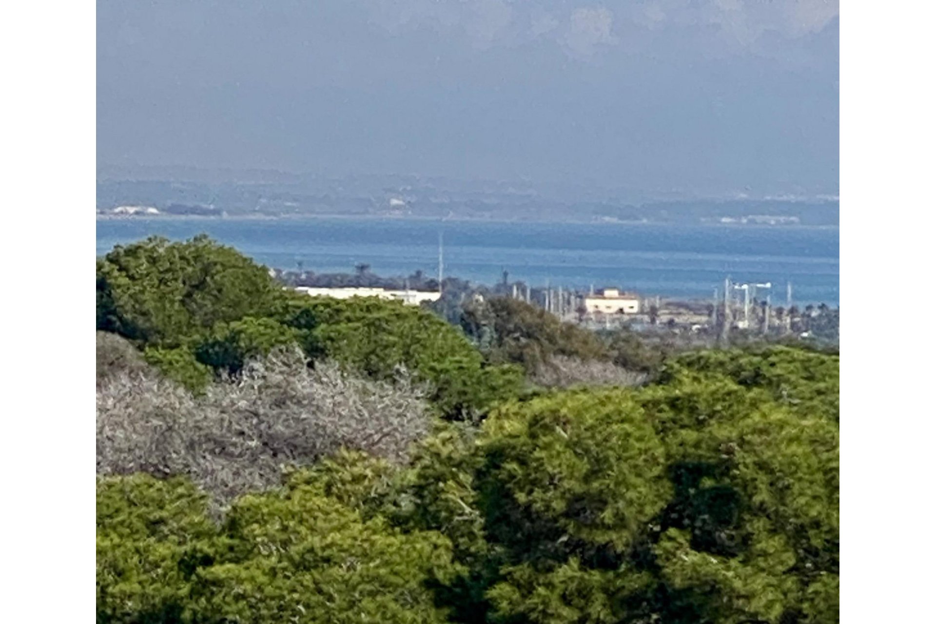 Obra nueva - Piso - Guardamar del Segura - Centro