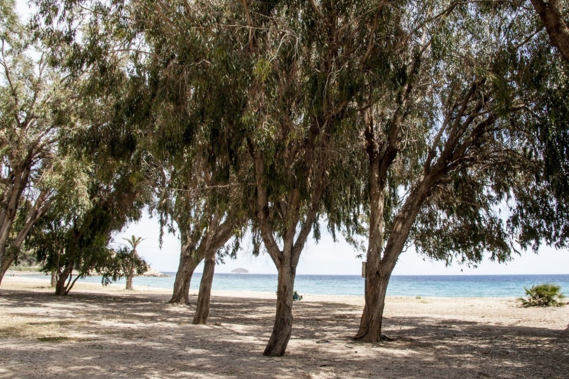 Obra nueva - Piso - Villajoyosa - Playa Les Torres