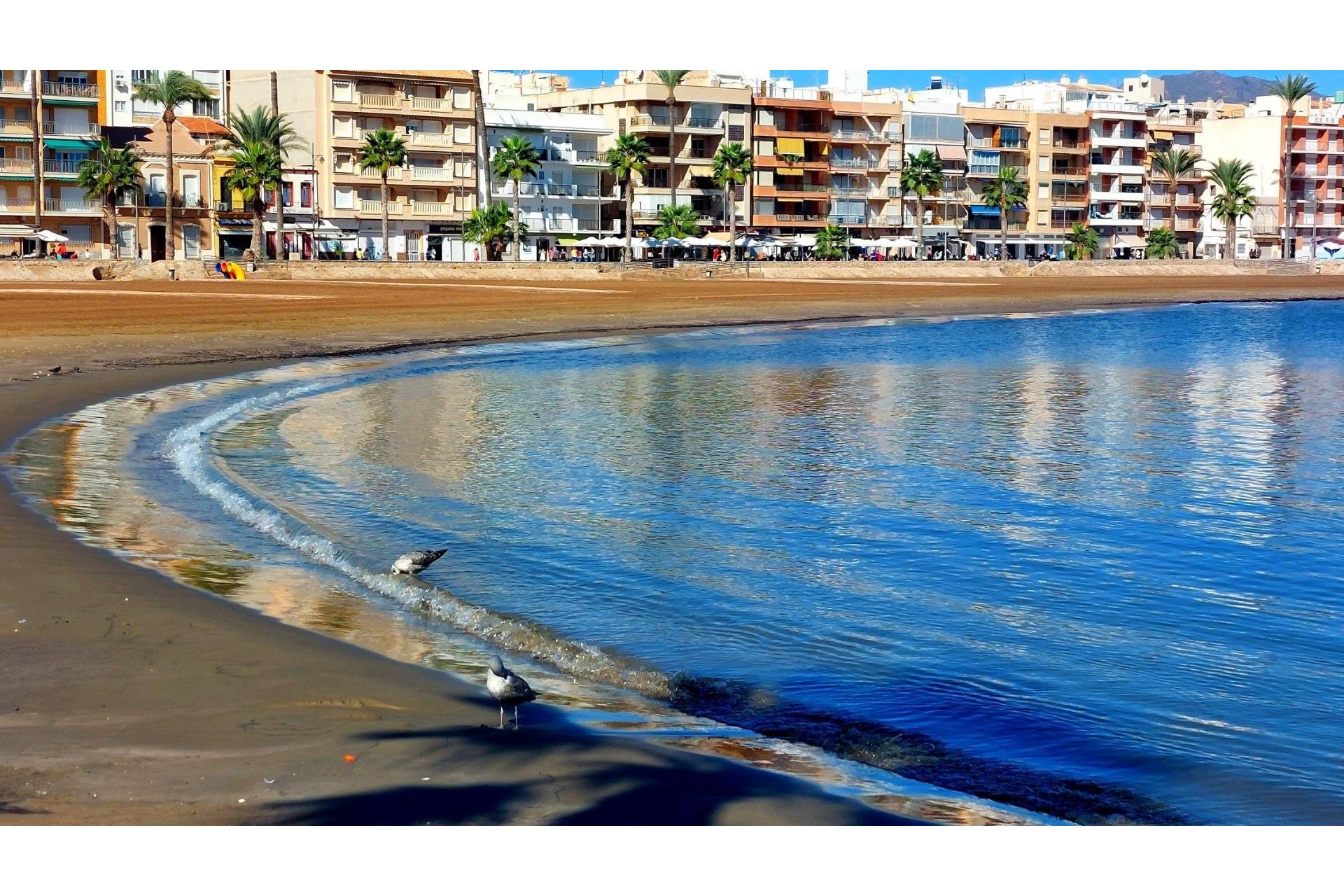 Obra nueva - Town House - Fuente Álamo - La Pinilla