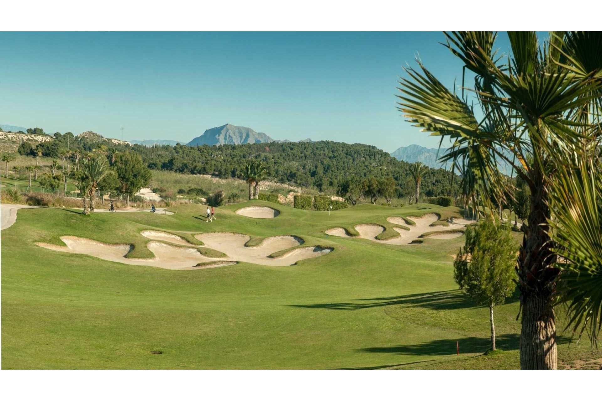 Obra nueva - Town House - Orihuela - Vistabella Golf