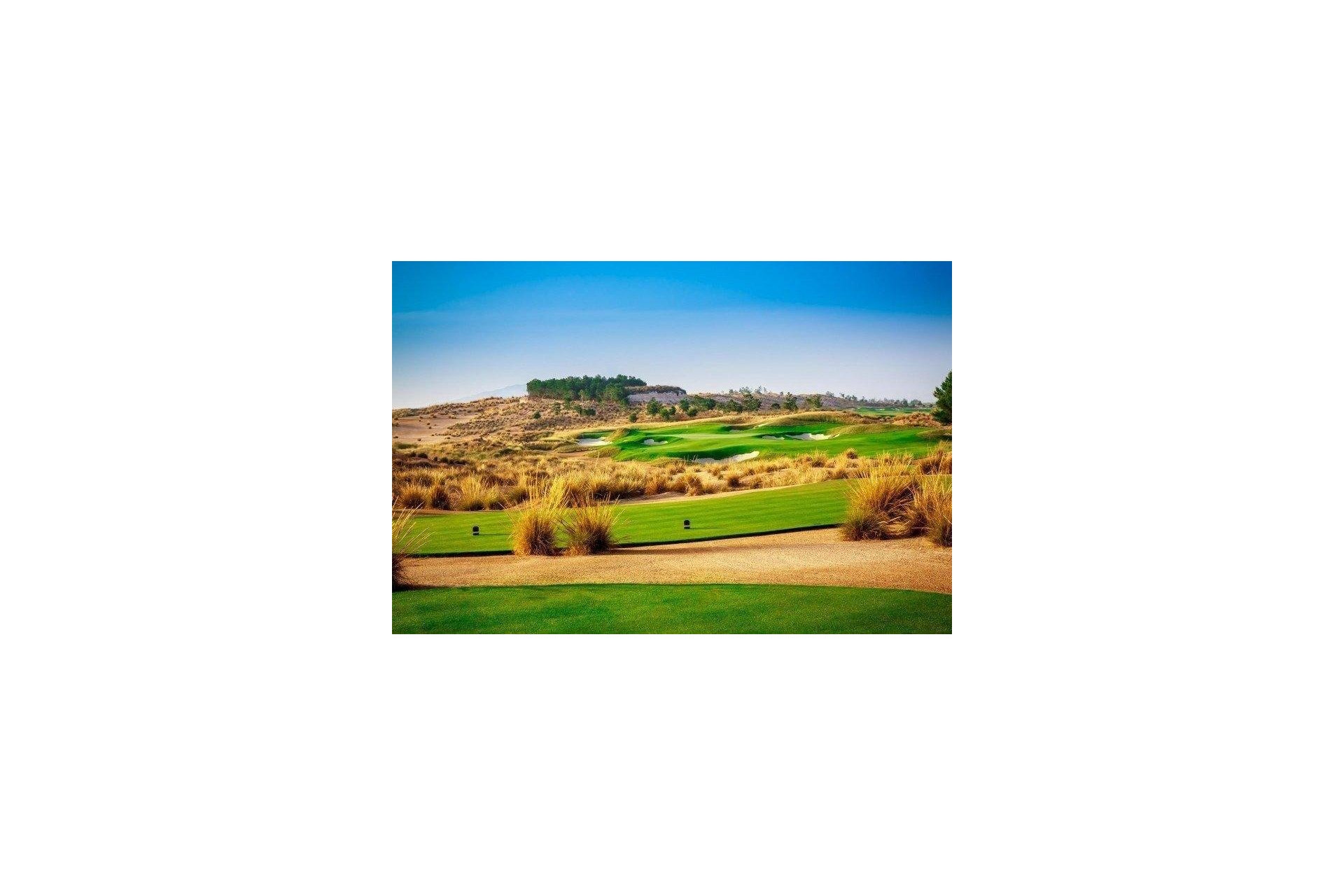 Obra nueva - Villa - Alhama de Murcia - Condado De Alhama