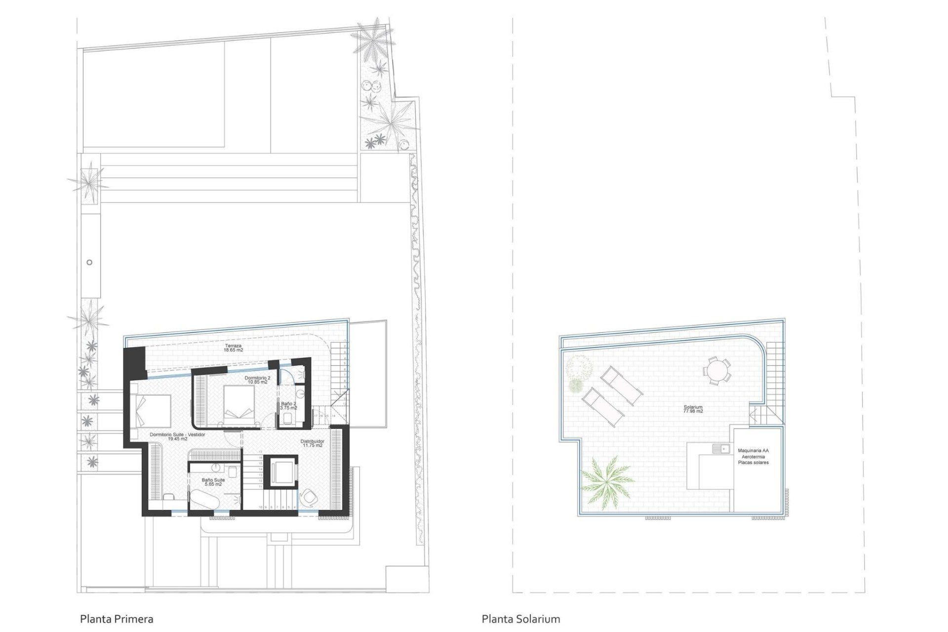 Obra nueva - Villa - Cabo de Palos - Cala Flores