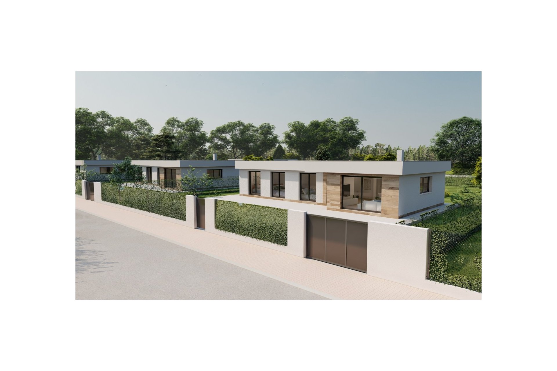 Obra nueva - Villa - Calasparra - Coto riñales