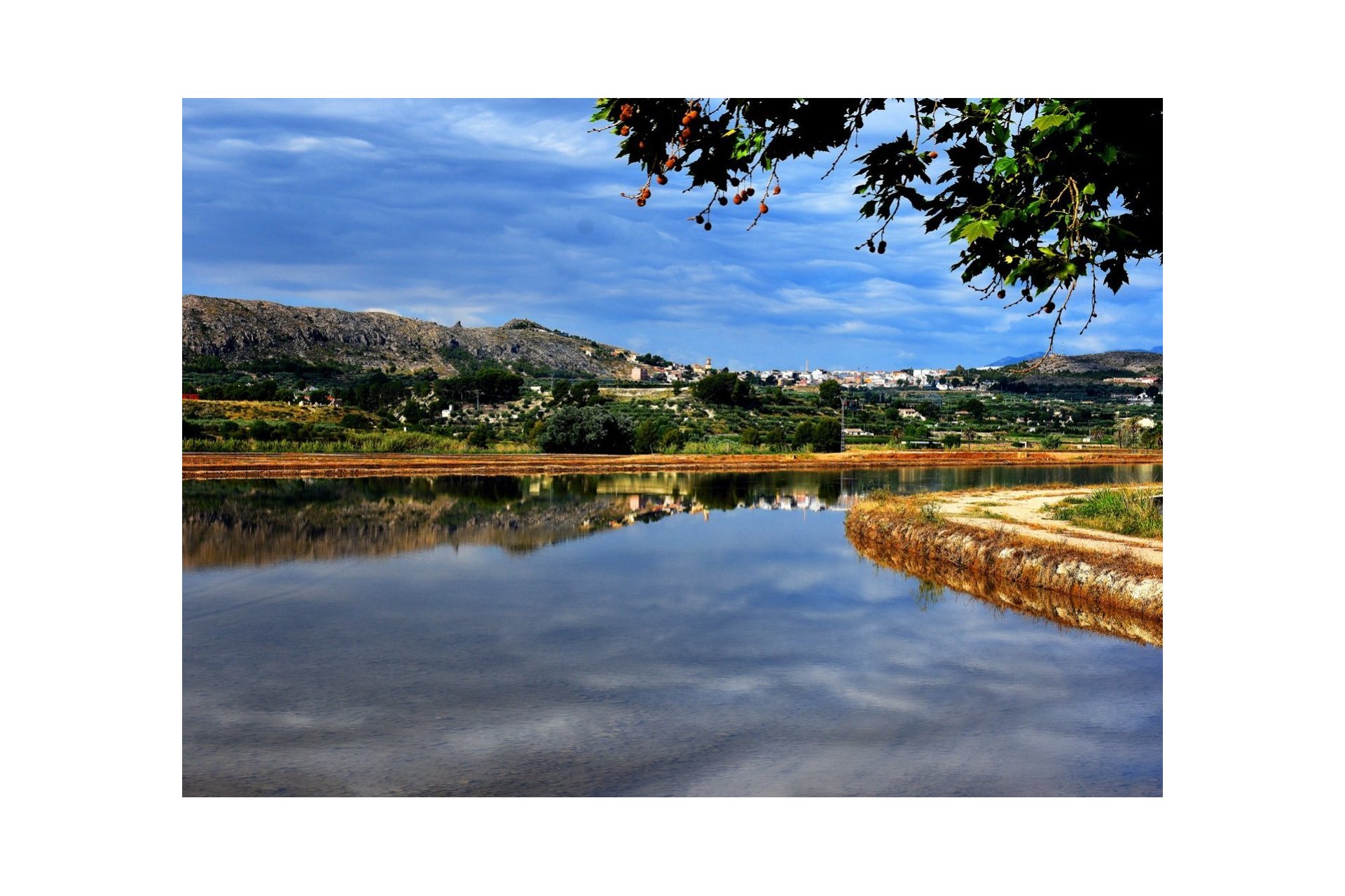 Obra nueva - Villa - Calasparra - Coto riñales