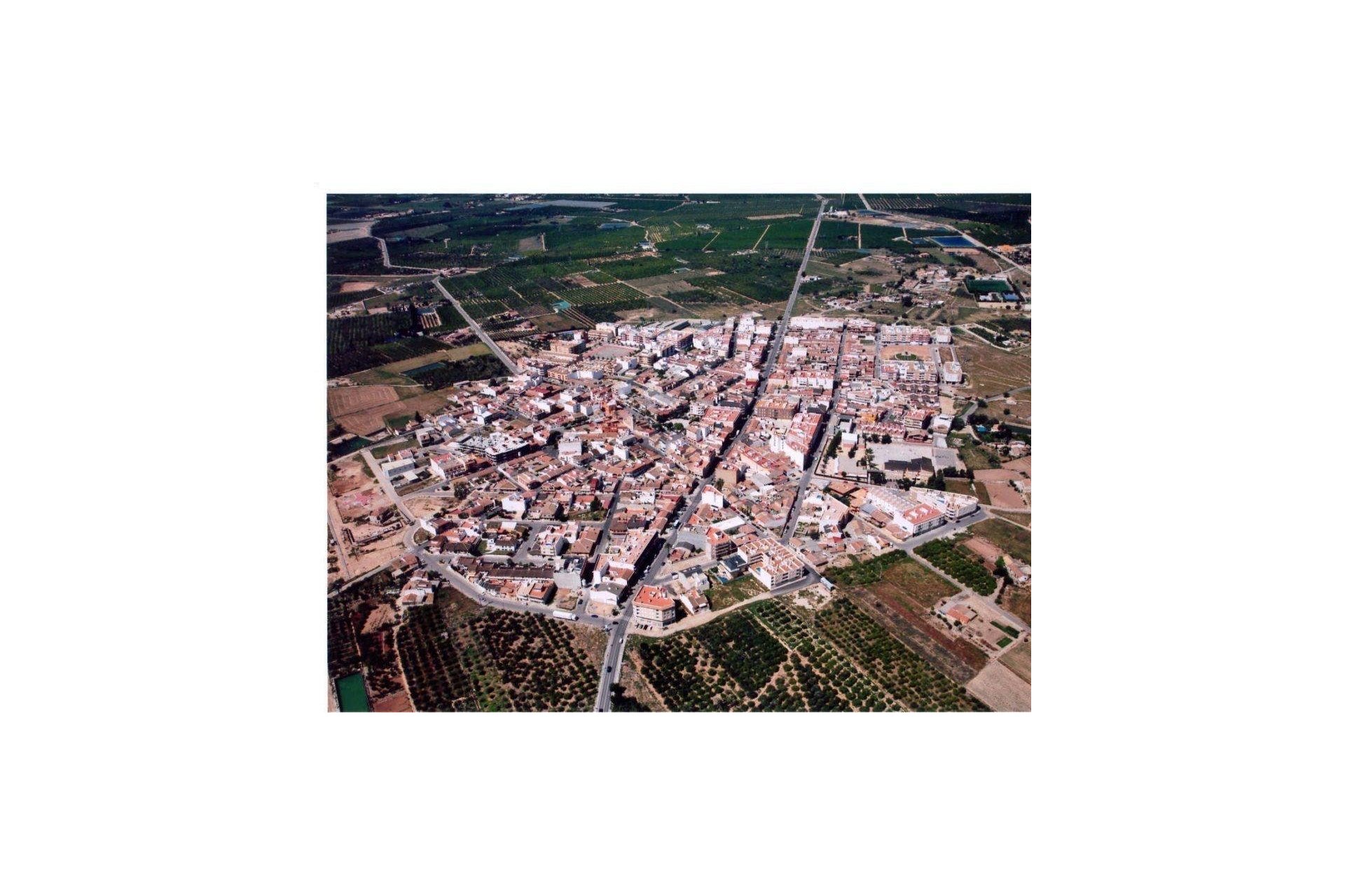 Obra nueva - Villa - Los Montesinos - La herrada