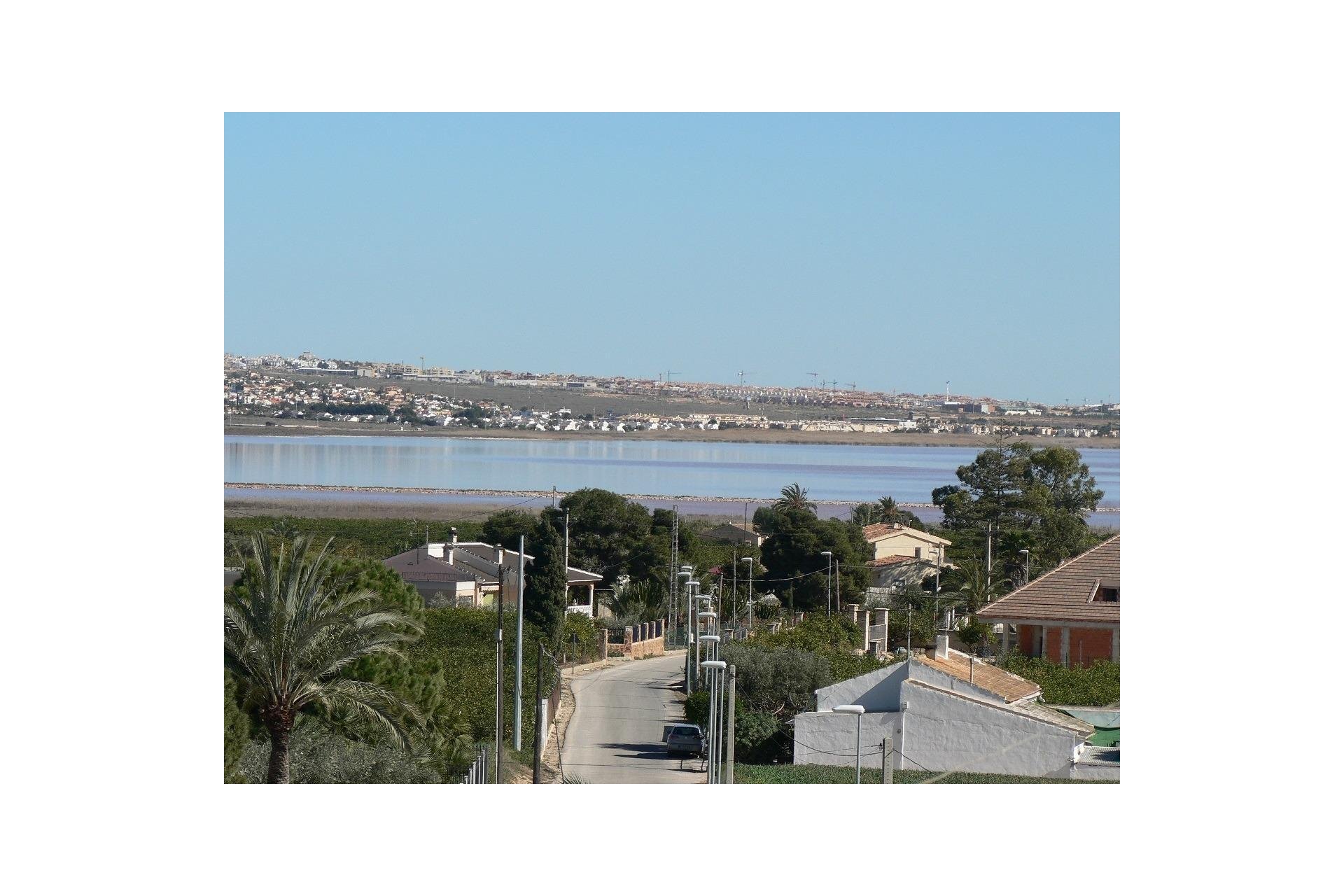 Obra nueva - Villa - Los Montesinos - La herrada